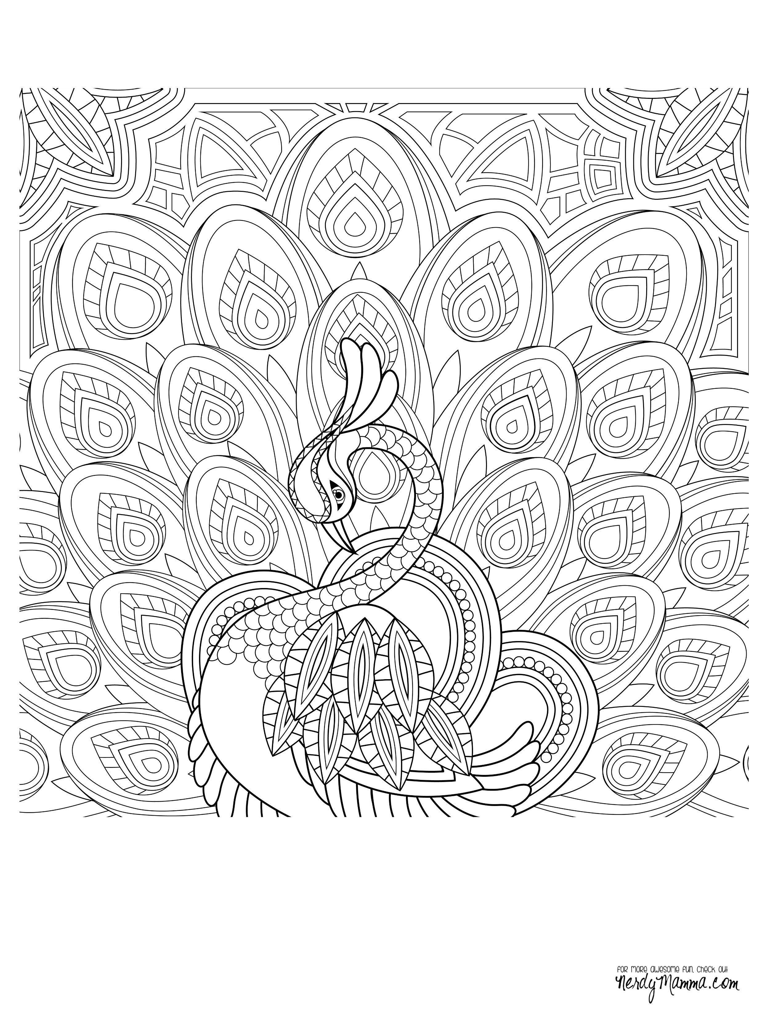 23 Recommended Flowers with Vase Included 2024 free download flowers with vase included of adult coloring flowers awesome cool vases flower vase coloring page in adult coloring flowers awesome cool vases flower vase coloring page pages flowers in a to