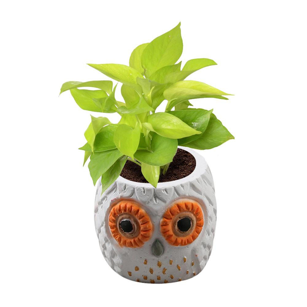 28 Perfect Geometric Wire Vase 2024 free download geometric wire vase of diy 3d vase mold silicone animals pattern flower pot owl shaped throughout diy 3d vase mold silicone animals pattern flower pot owl shaped concrete pot molds concrete 