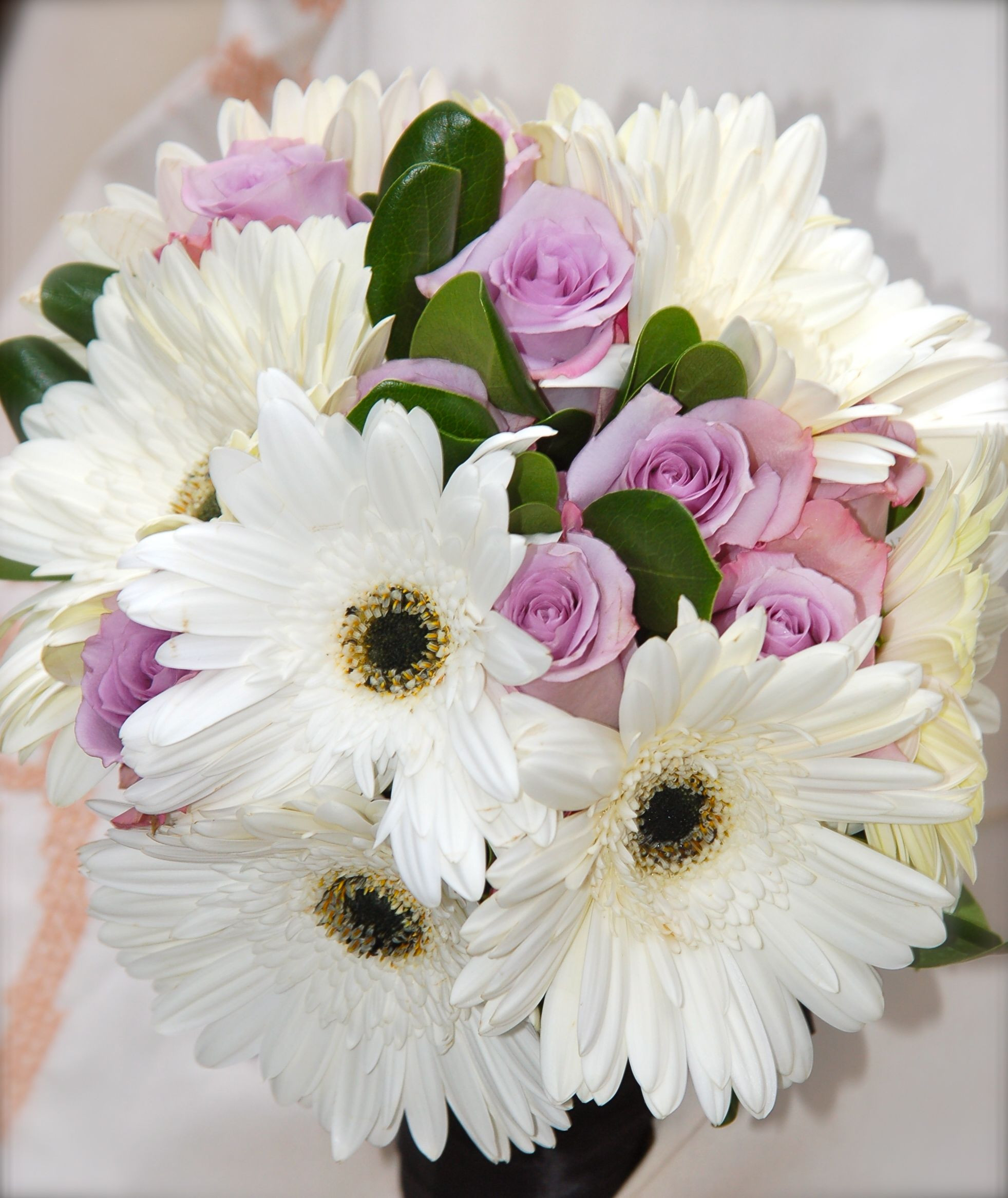 19 Amazing Gerbera Daisy In Vase 2024 free download gerbera daisy in vase of gerbera daisies lavender roses white pinterest lavender intended for gerbera daisies