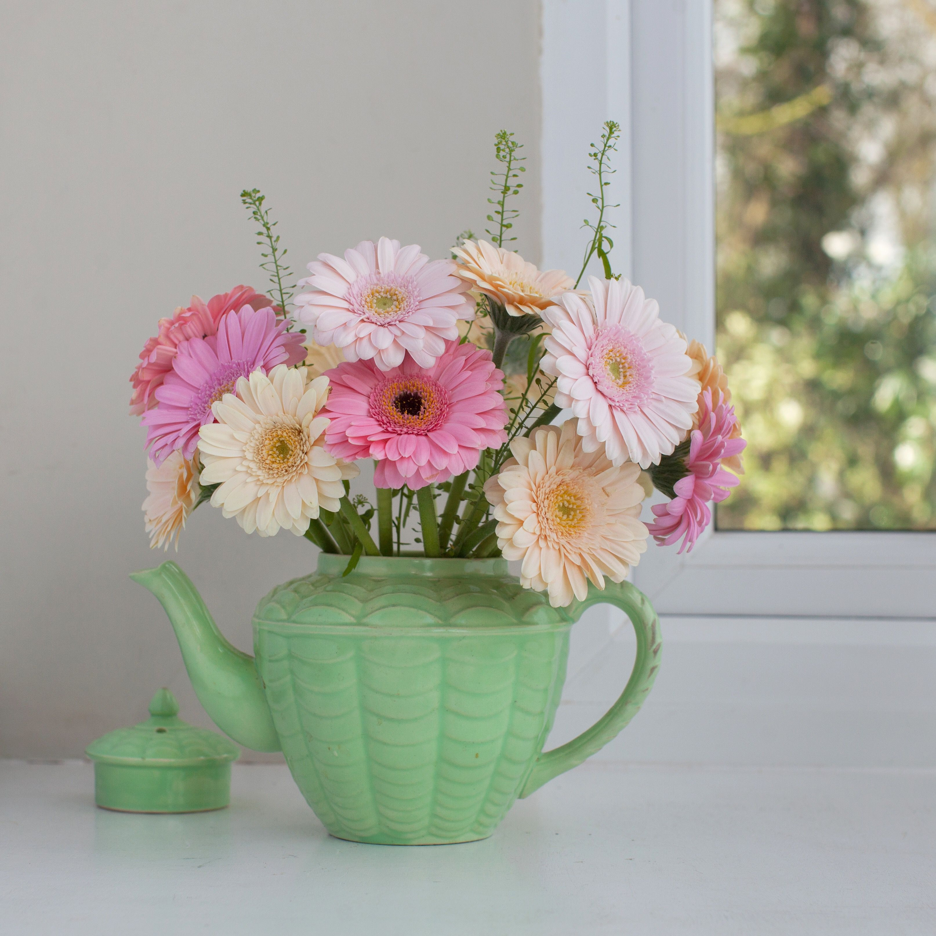 19 Amazing Gerbera Daisy In Vase 2024 free download gerbera daisy in vase of growing gerber daisies yourself inside gerberadaisy twenty20 70b37b1a e91b 4687 8bf7 5ef6e768f937 58e63fc15f9b58ef7e7ff4f9