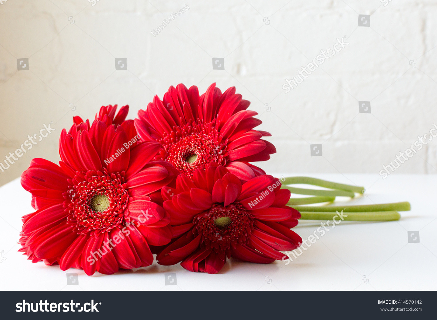 19 Amazing Gerbera Daisy In Vase 2024 free download gerbera daisy in vase of red gerberas lying on a white table against a white brick wall ez for id 414570142
