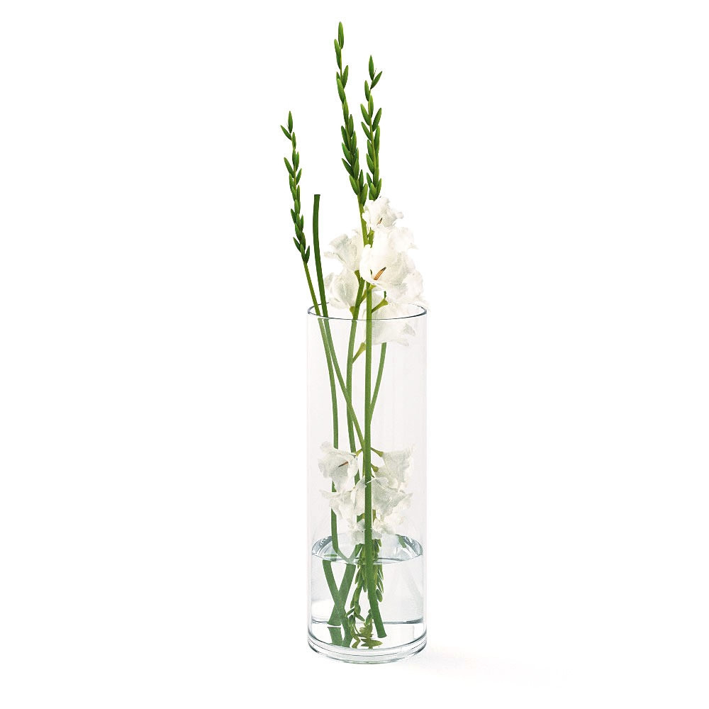 gladiolus vase of chocofur flowers 02 intended for chocofur blender 3d model flowers flowers 02