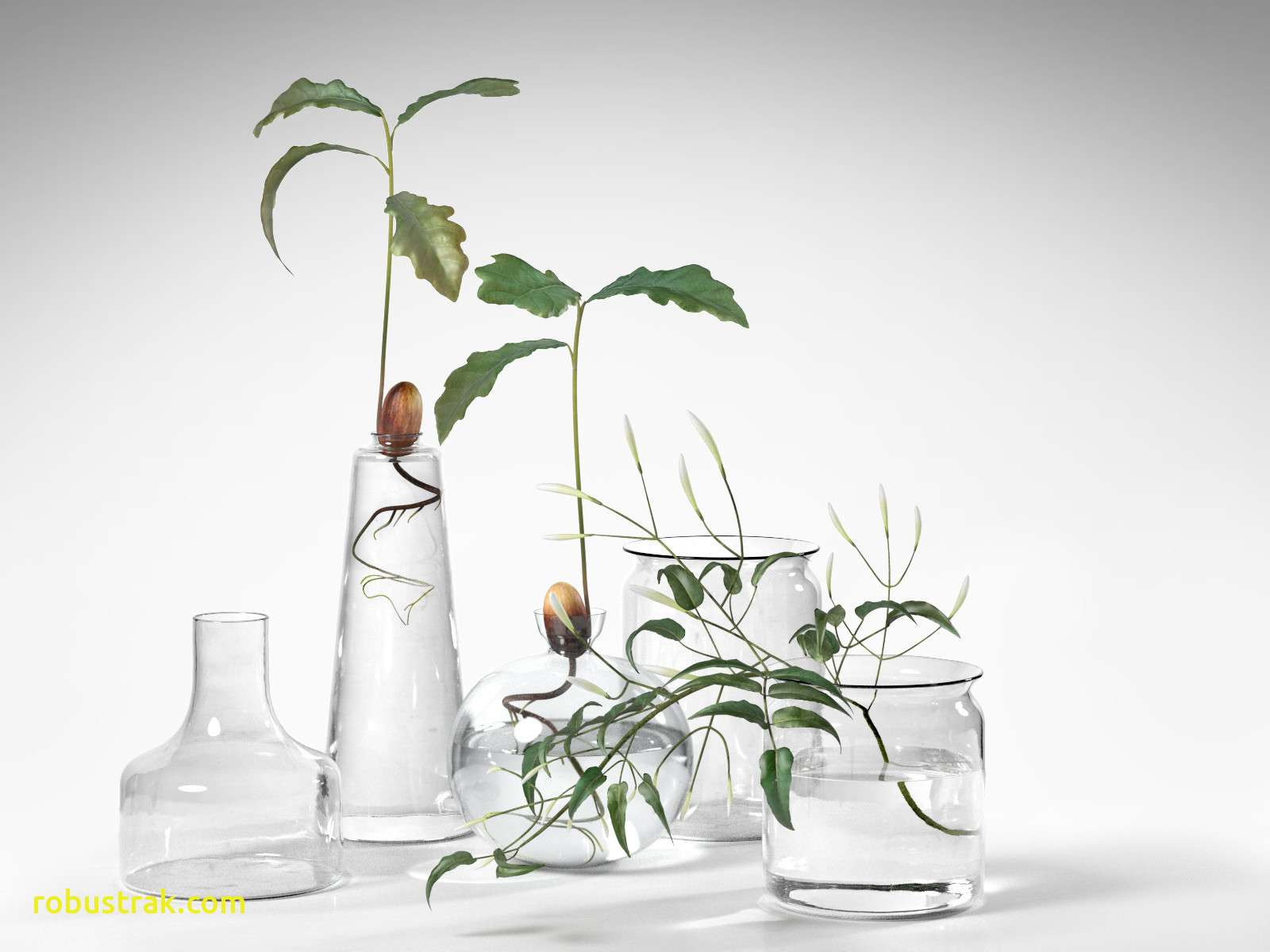 22 Recommended Glass Bottle Vase 2024 free download glass bottle vase of elegant decorating with vases home design ideas in 707h vases plants in unique design perfect for decorating your desk realistic appearancei 16d