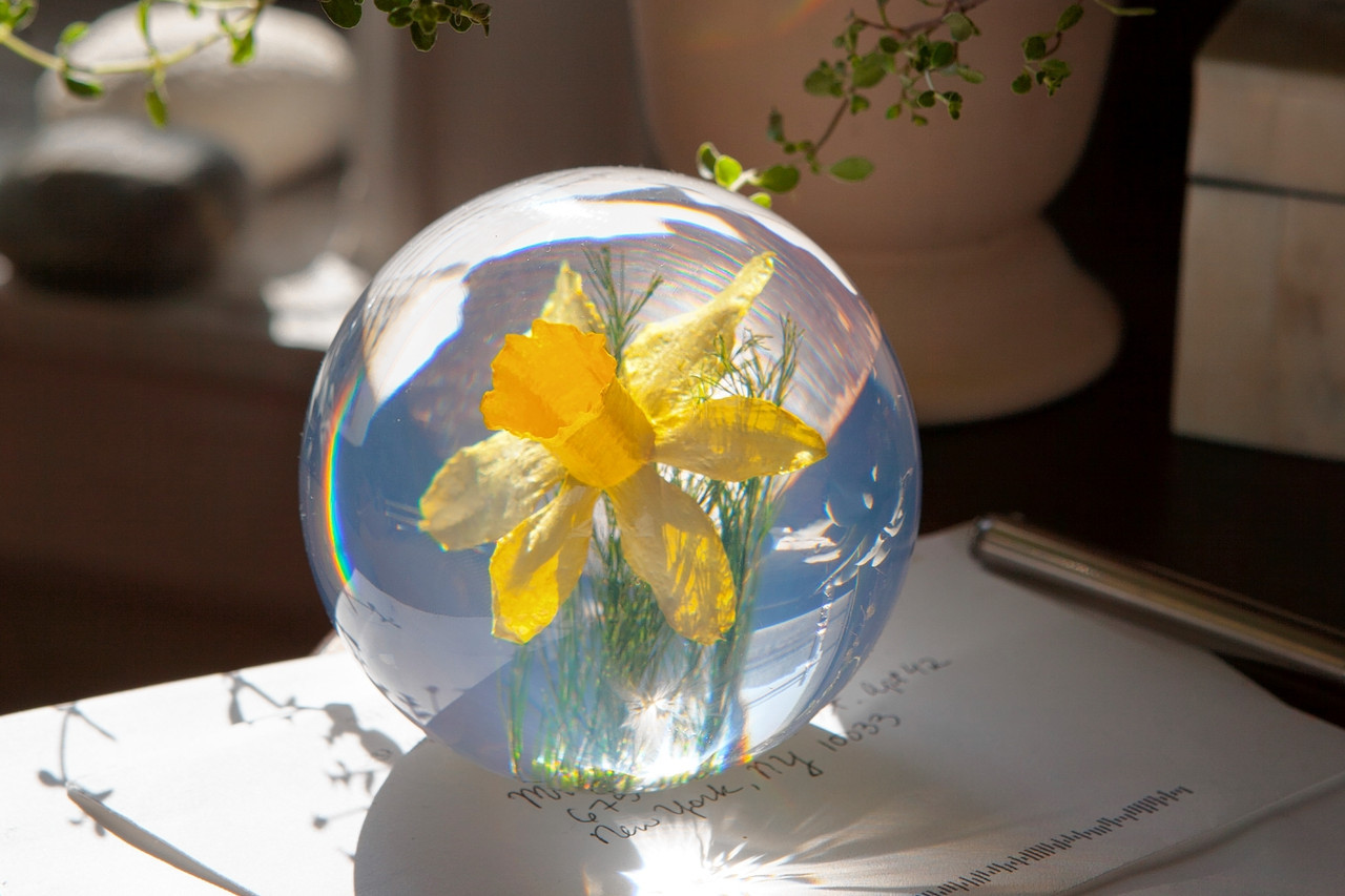 23 attractive Glass Bubble Wall Vase 2024 free download glass bubble wall vase of floral paperweights that will give you an early taste of spring wsj with od bf417b pawei m 20150220112918