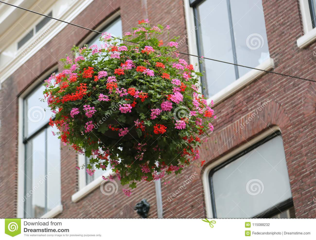23 attractive Glass Bubble Wall Vase 2024 free download glass bubble wall vase of vase of pink and red geraniums hanging by a thread over a road i intended for download vase of pink and red geraniums hanging by a thread over a road i stock