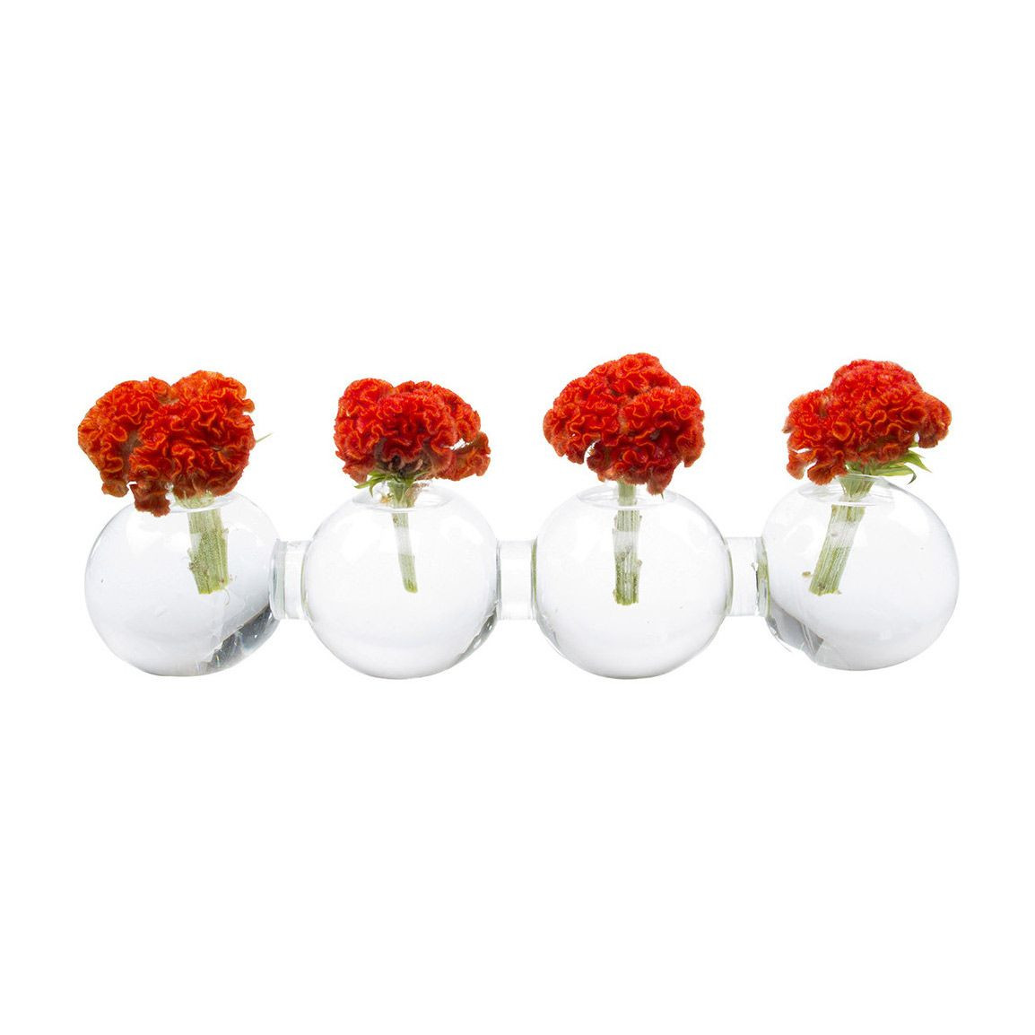 16 attractive Glass Flowers and Vase 2024 free download glass flowers and vase of sporting a fashionable apothecary look this innovative vase with regard to explore flowers vase glass flowers and more