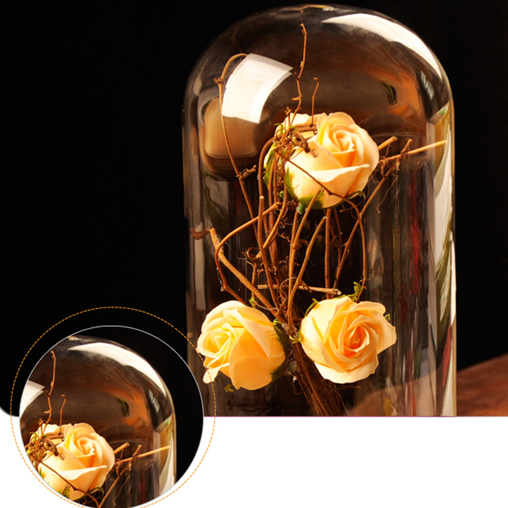 16 Trendy Glass Pocket Wall Sconce Vases for Flowers 2024 free download glass pocket wall sconce vases for flowers of glass cover landscape vase dome with tray plant flower terrarium within glass cover landscape vase dome with tray plant flower terrarium contain