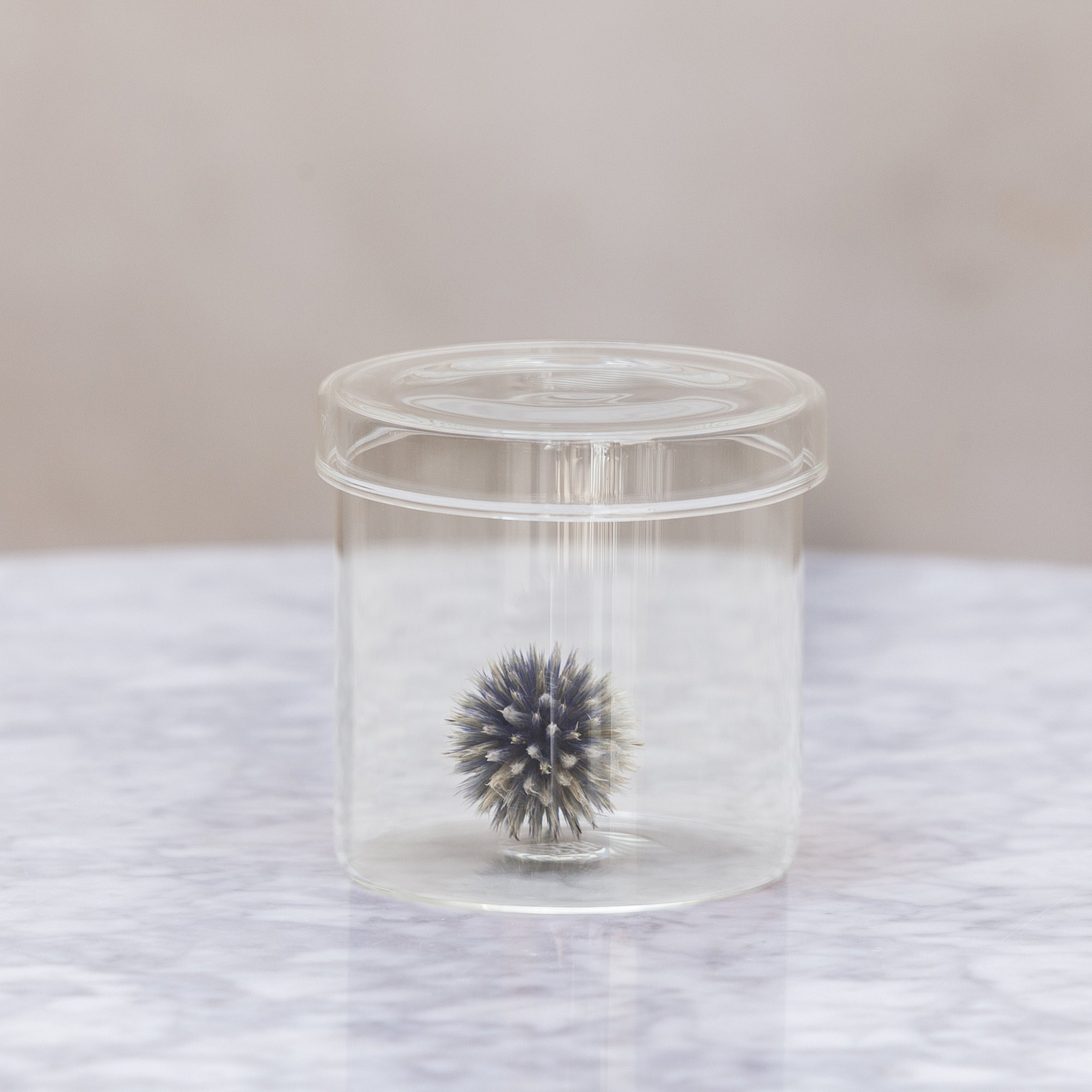 glass sea urchin vase of living hallesches haus for hay container large