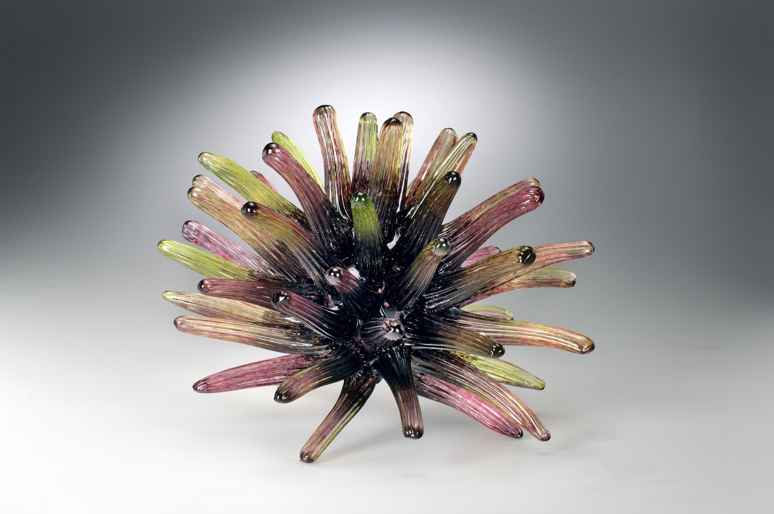 27 Wonderful Glass Sea Urchin Vase 2024 free download glass sea urchin vase of sea urchins and corals fy shan glass studio intended for sea urchins and corals