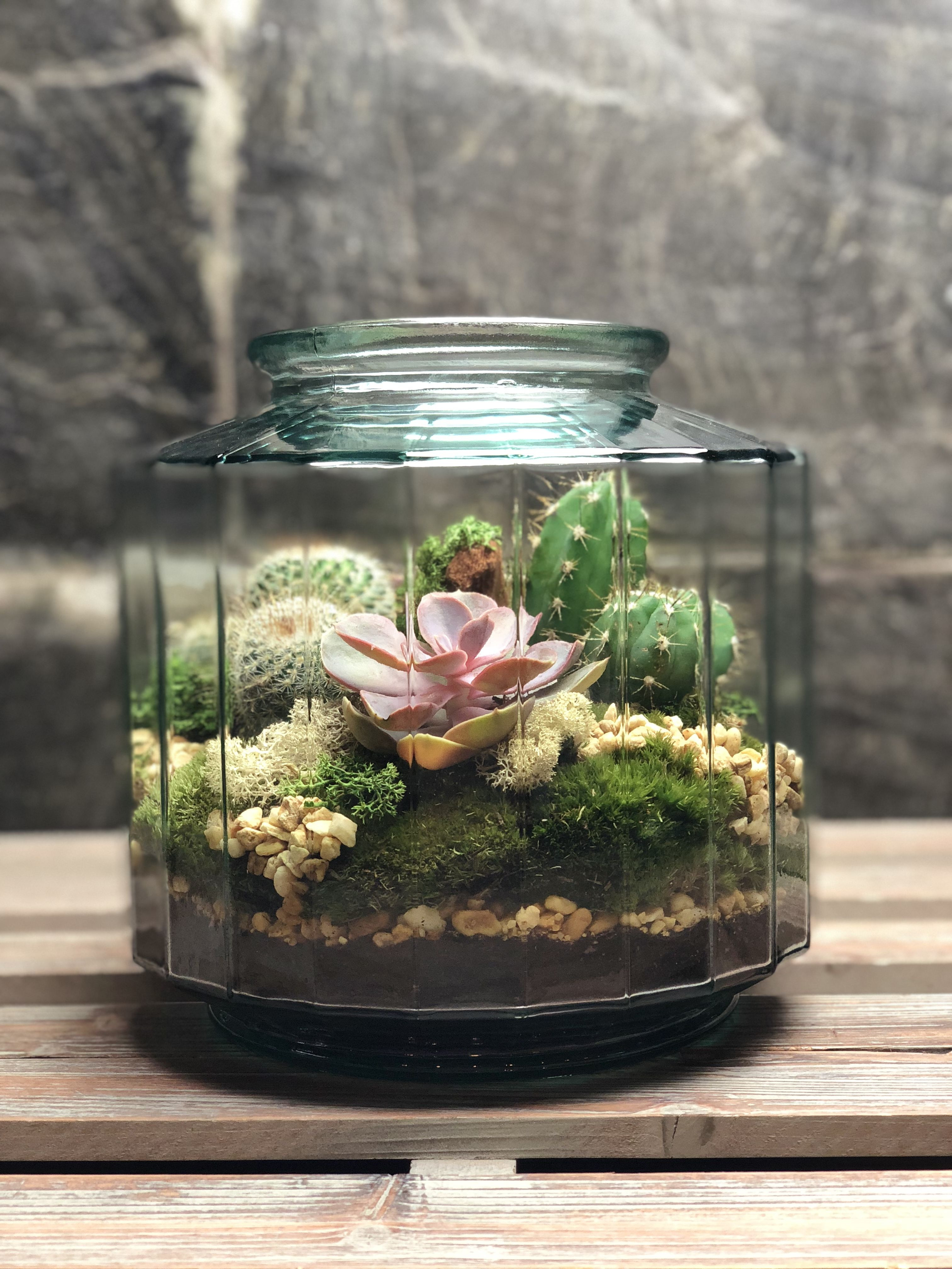 22 Stylish Glass Vase Terrarium 2024 free download glass vase terrarium of what do you think about this type of vase for a terrarium yes or for what do you think about this type of vase for a terrarium yes or no