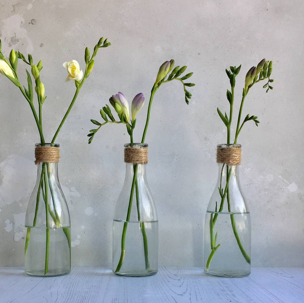 11 Nice Glass Vase with Rope 2024 free download glass vase with rope of set of nautical bottle vases by the nautical home in set of nautical bottle vases