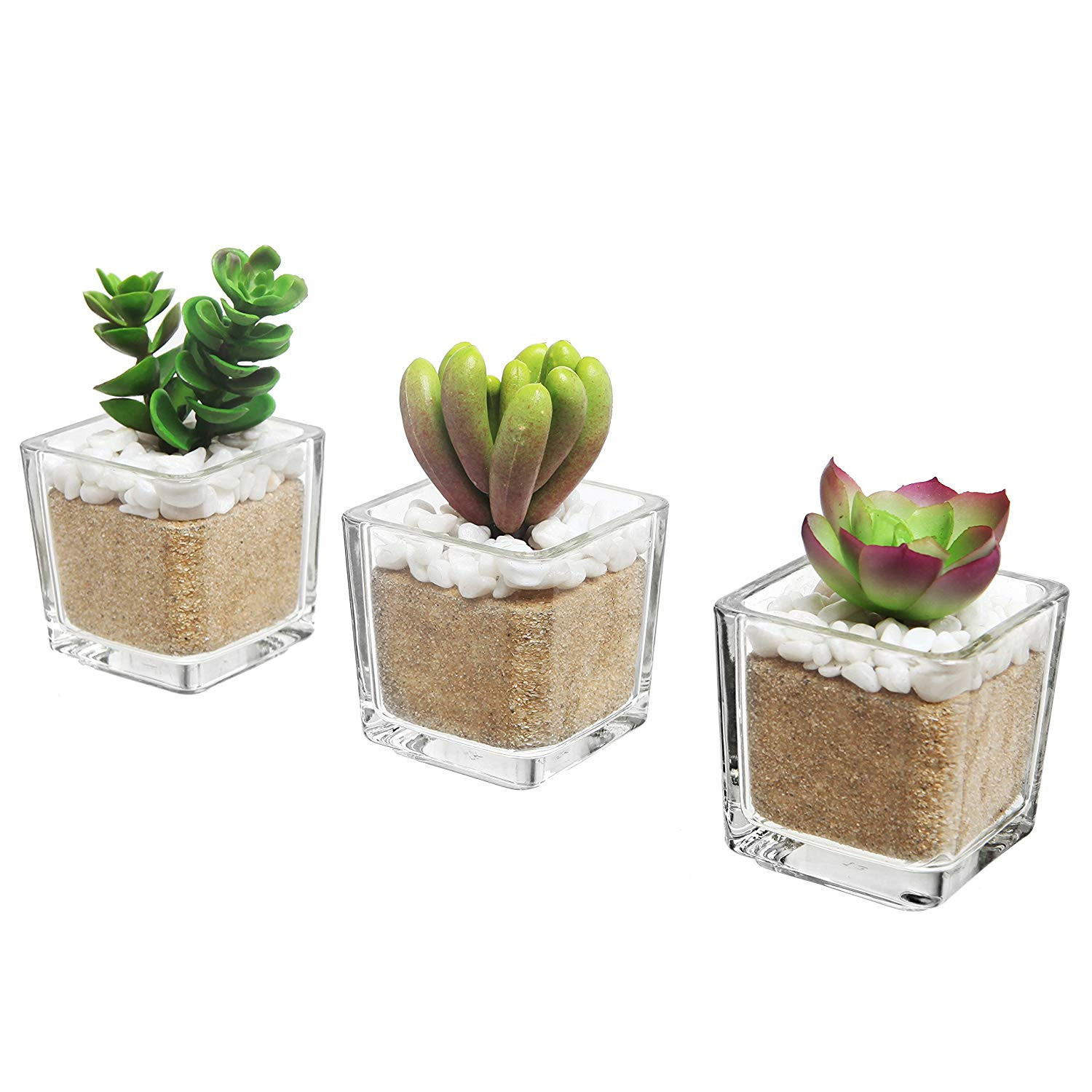 18 Recommended Glass Vases Depot Coupon 2024 free download glass vases depot coupon of amazon com set of 3 modern home decor mini artificial succulent in amazon com set of 3 modern home decor mini artificial succulent plants potted in glass cube sha