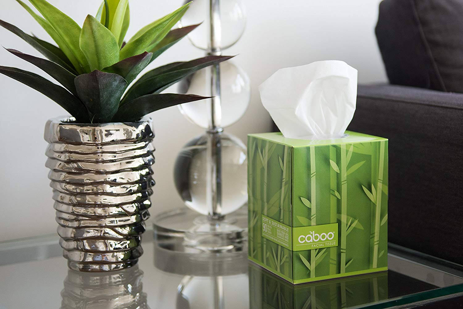 12 Awesome Global Views Green Vase 2024 free download global views green vase of amazon com caboo tree free bamboo facial tissue paper eco friendly within amazon com caboo tree free bamboo facial tissue paper eco friendly hypoallergenic tissue 