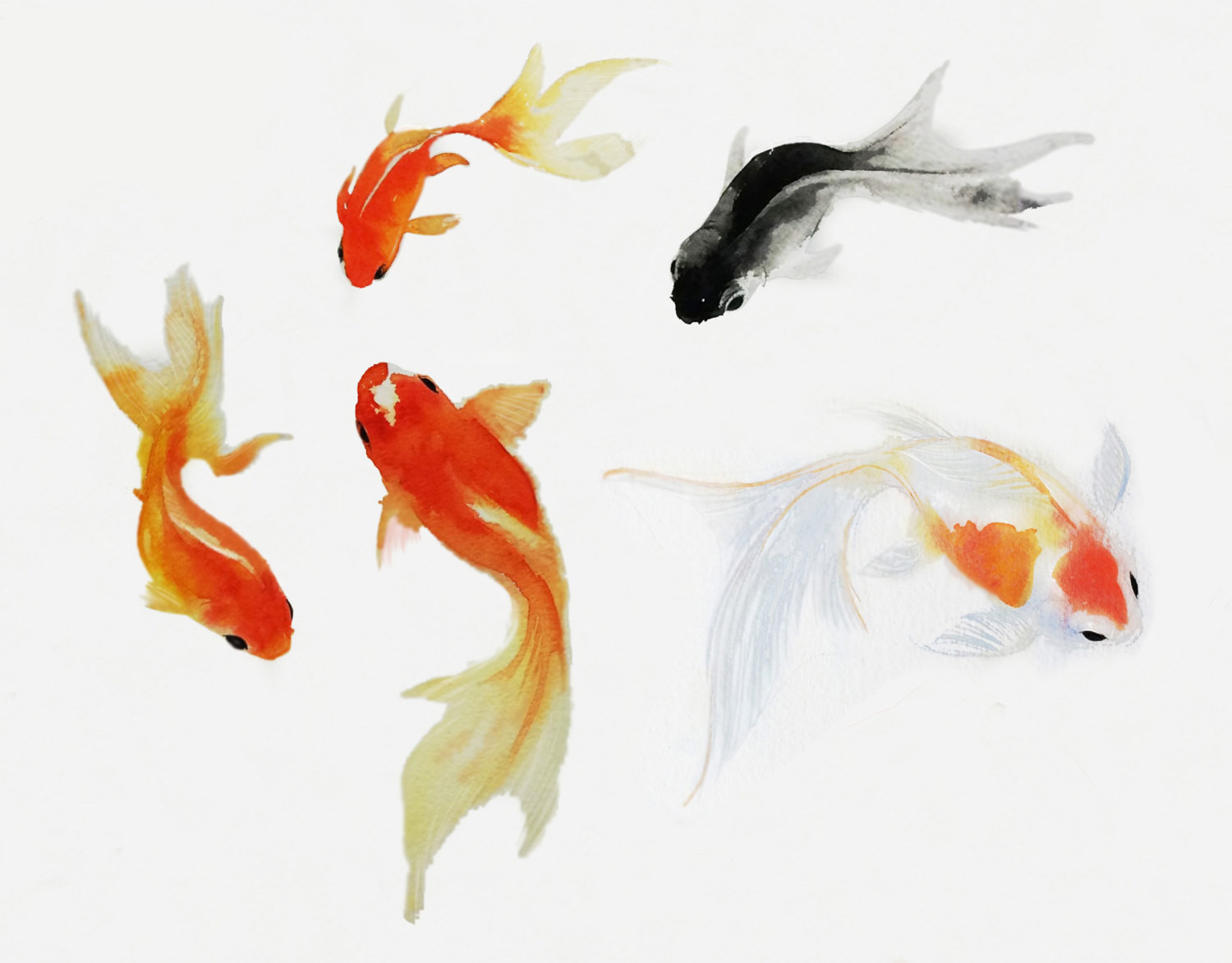 25 Stylish Goldfish Vase 2024 free download goldfish vase of gold fish paintings for goldfish water goldfish painting sumie fish
