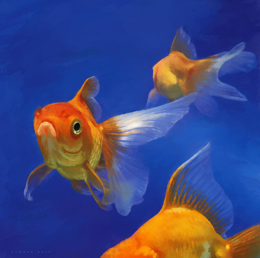 25 Stylish Goldfish Vase 2024 free download goldfish vase of gold fish paintings regarding 92a90ce84011c6c38869dae99f7a4532