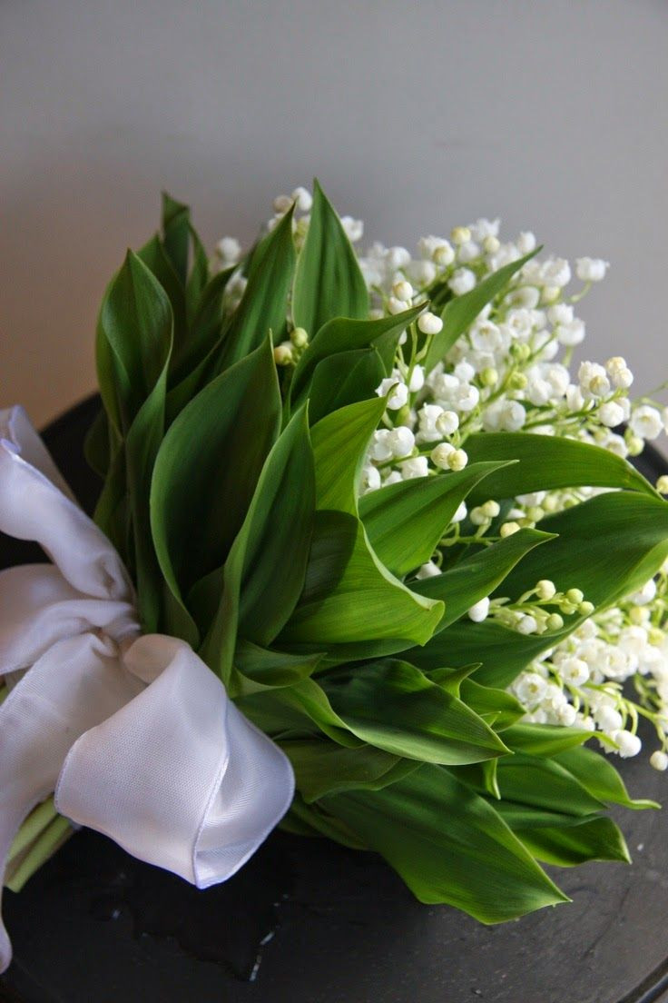 12 Great Gorham Tulip Bouquet Vase 2024 free download gorham tulip bouquet vase of stunningly classic lily of the valley bridal bouquet within stunningly classic lily of the valley bridal bouquet