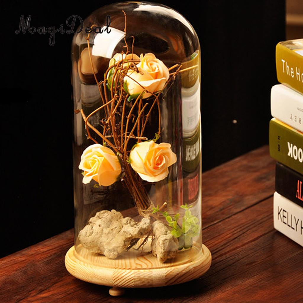 12 Nice Handmade Glass Vase From Poland 2024 free download handmade glass vase from poland of glass cover landscape vase dome with tray plant flower terrarium throughout magideal glass vase cover landscape container dome with tray plant flower decor