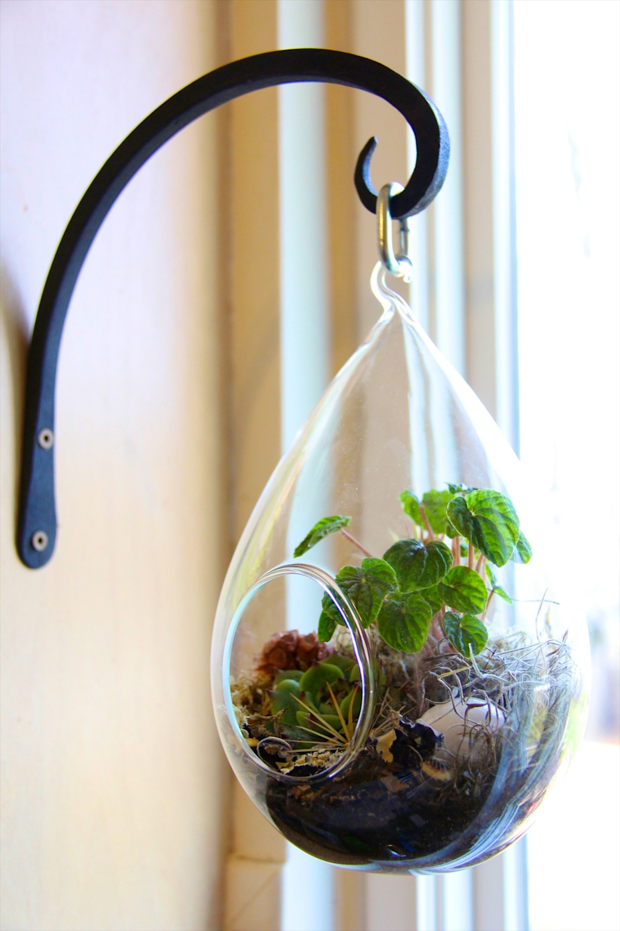 17 Stylish Hanging Glass Ball Vase 2024 free download hanging glass ball vase of how to make a terrarium 7 steps with pictures throughout f3nxqh4ha4mbayk