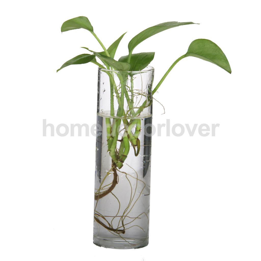 19 Amazing Hanging Glass Rooting Vases 2024 free download hanging glass rooting vases of cylinder clear glass wall hanging vase bottle for plant flower throughout cylinder clear glass wall hanging vase bottle for plant flower decorations in vases f