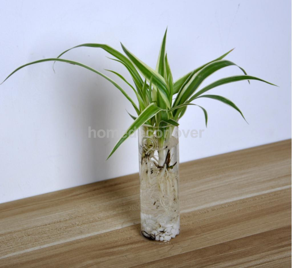 19 Amazing Hanging Glass Rooting Vases 2024 free download hanging glass rooting vases of cylinder clear glass wall hanging vase bottle for plant flower within cylinder clear glass wall hanging vase bottle for plant flower decorations in vases from 