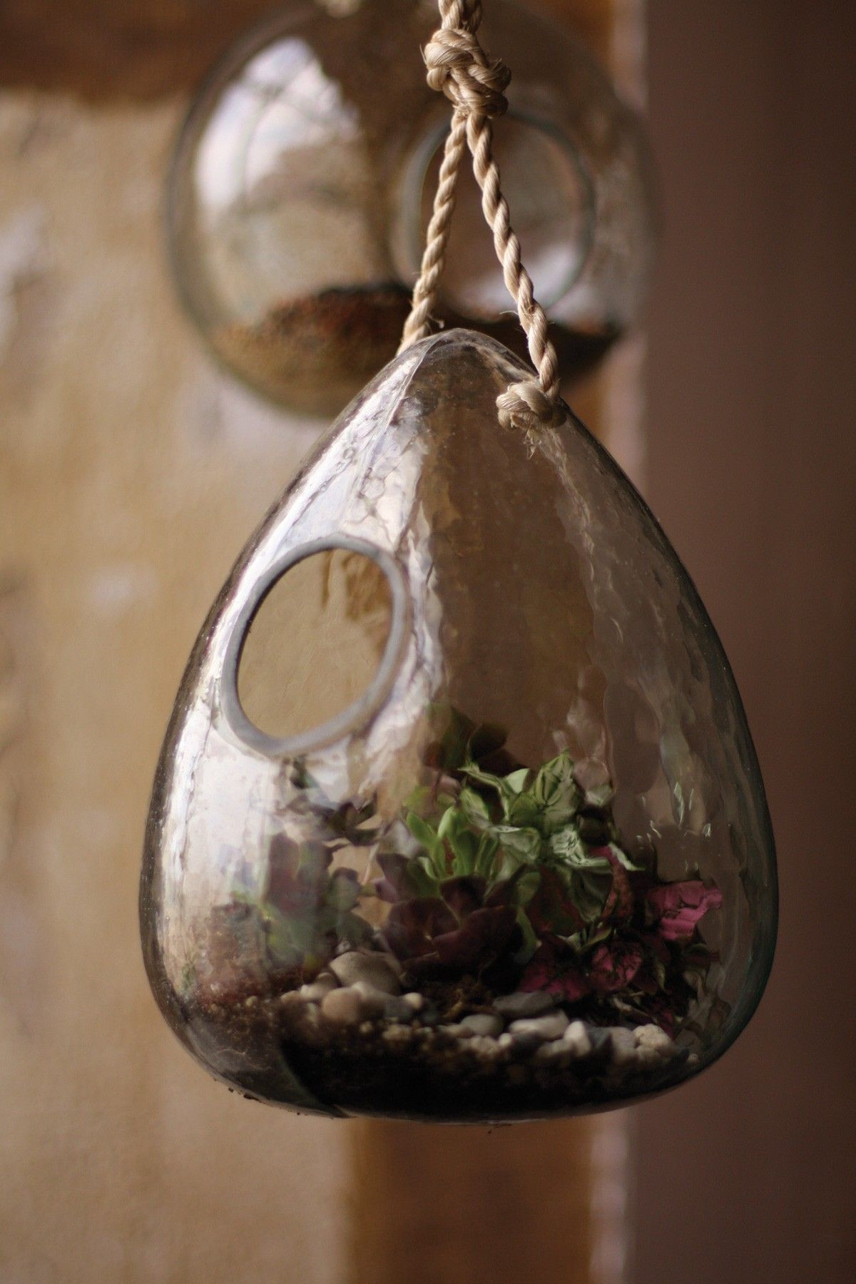 12 Fabulous Hanging Teardrop Vase 2024 free download hanging teardrop vase of recycled glass teardrop terrarium im thinking giftie day by with hautelook