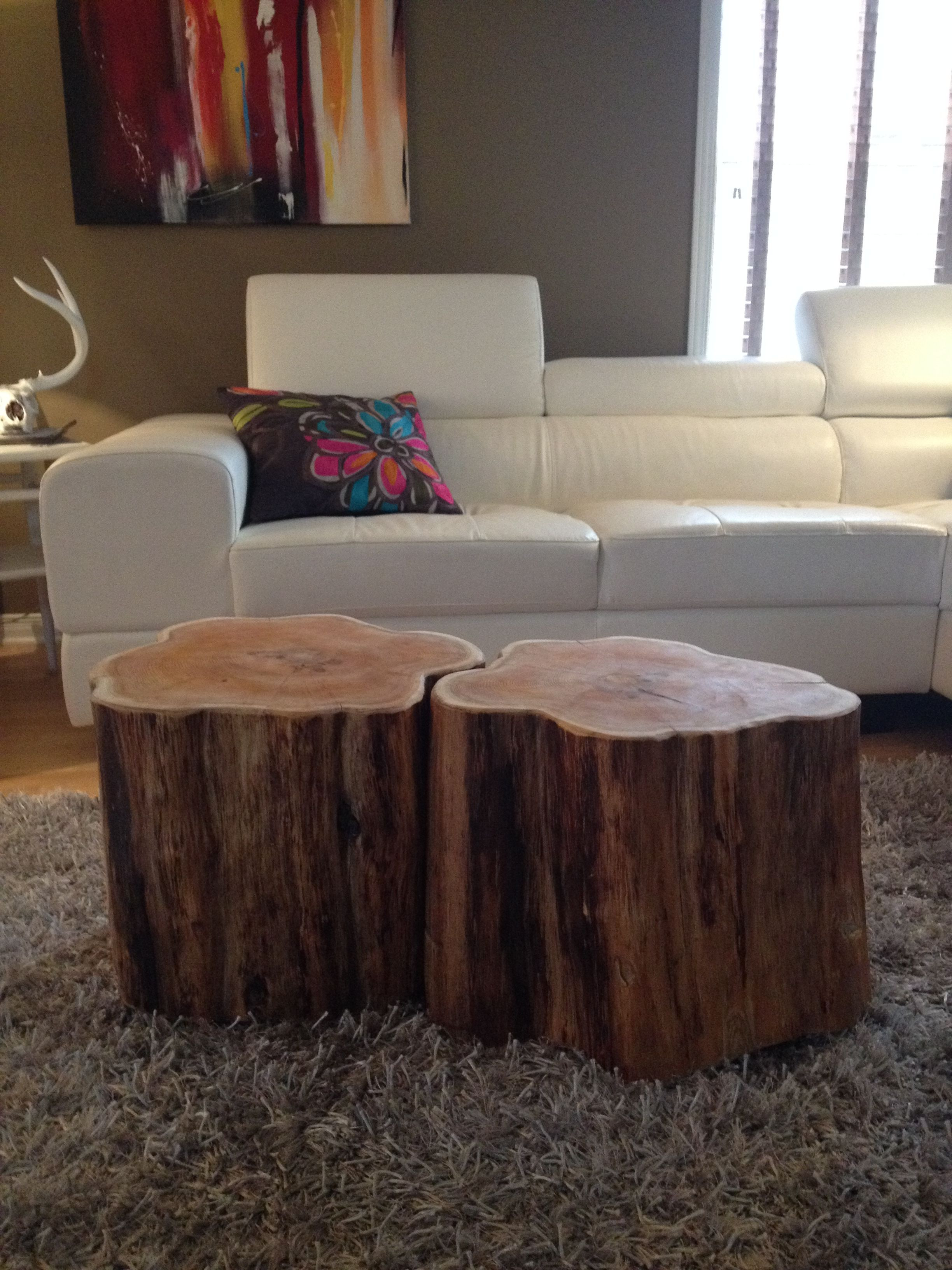 19 Stylish Hay Tree Trunk Vase 2024 free download hay tree trunk vase of stump coffee tables serenitystumps com tree trunk tables stump with stump coffee tables serenitystumps com tree trunk tables stump coffee table