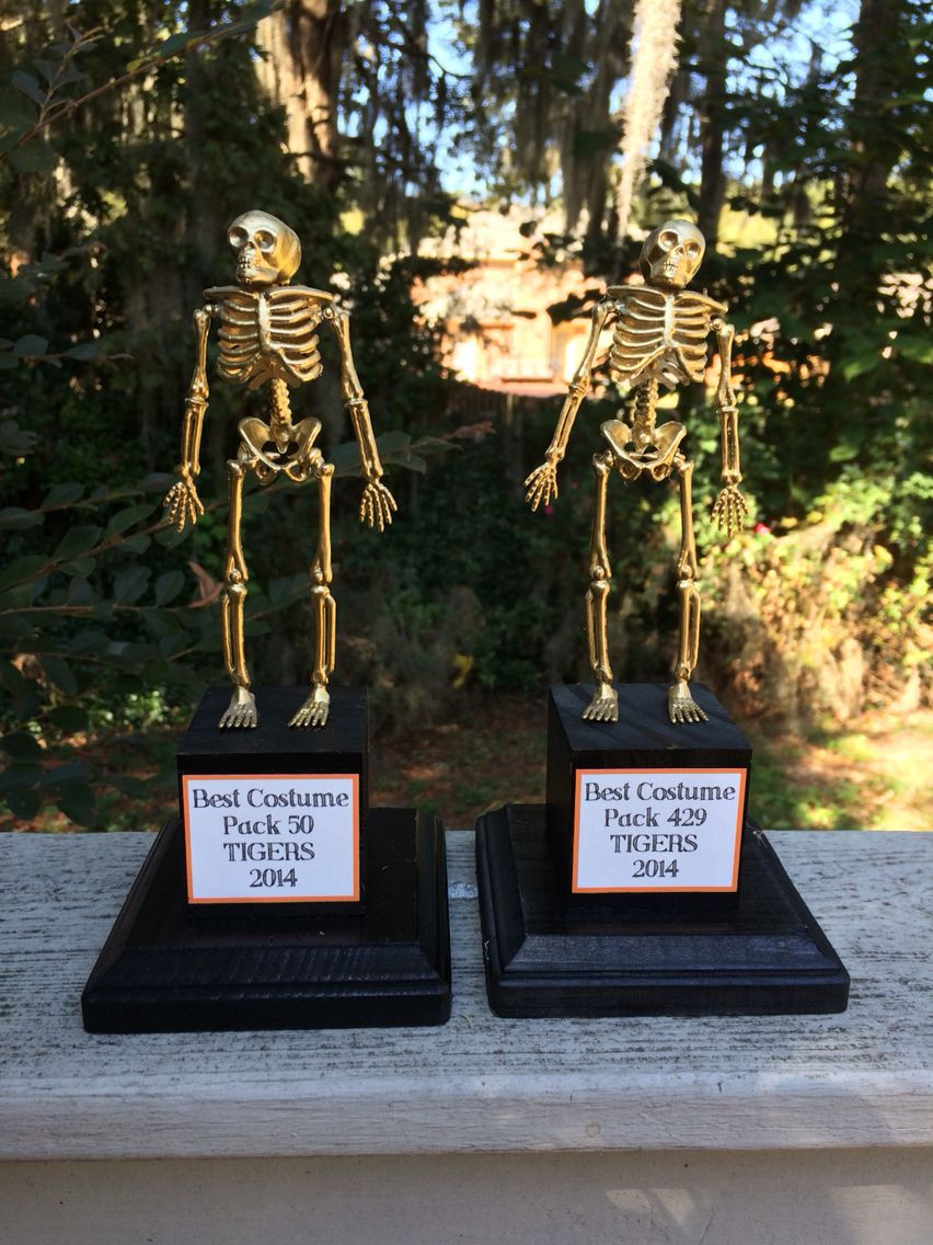22 Nice Hobby Lobby Cemetery Vases 2024 free download hobby lobby cemetery vases of diy costume contest trophies made from dollar tree skeleton garland inside diy costume contest trophies made from dollar tree skeleton garland hot glue e6000 wo