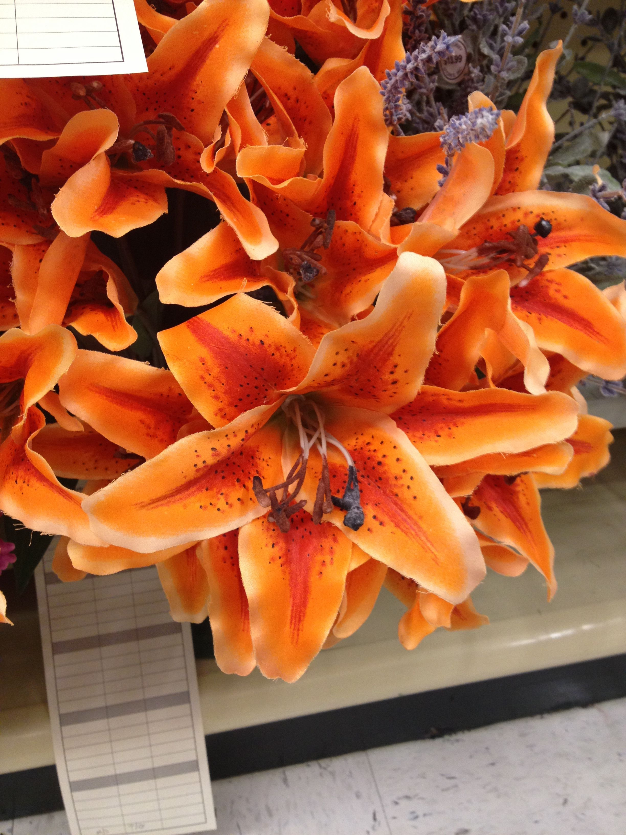 22 Nice Hobby Lobby Cemetery Vases 2024 free download hobby lobby cemetery vases of fake tiger lilies at hobby lobby they come in a bouquet but could in fake tiger lilies at hobby lobby they come in a bouquet but could be cut