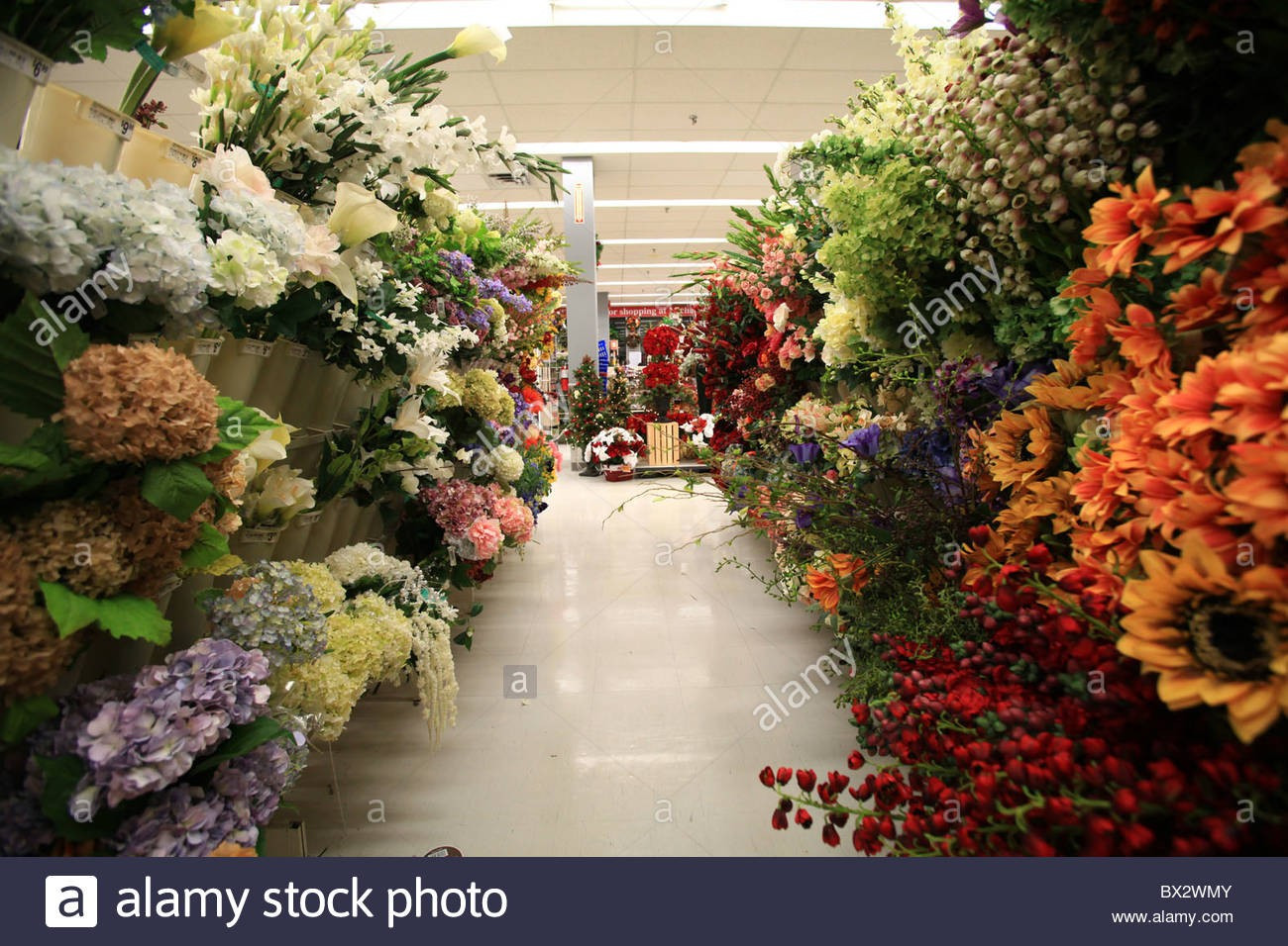 30 Nice Hobby Lobby Pilsner Vase 2024 free download hobby lobby pilsner vase of http pandoraocharms us artificial cemetery flowers http with regard to michaels artificial flowers silk for sale at michael s store stock photo 33255515 alamy