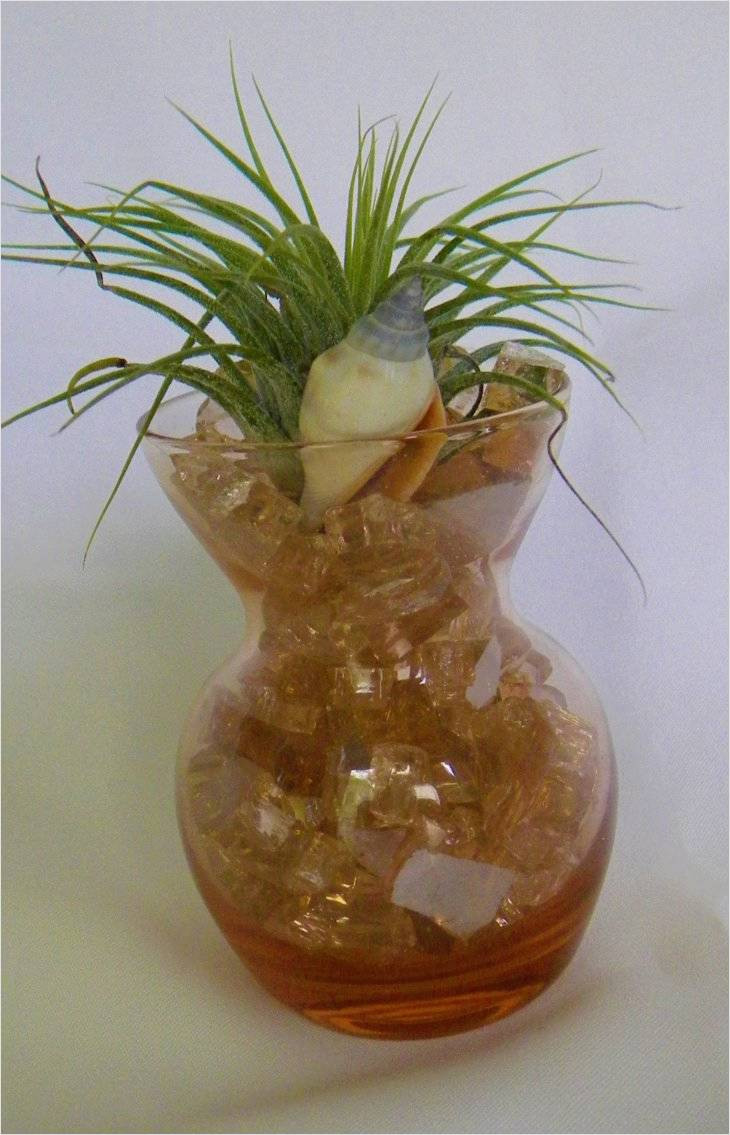 14 Awesome Home Decor Vase Fillers 2024 free download home decor vase fillers of cool inspiration on crystal vase fillers for use best house with cool inspiration on crystal vase fillers for use best house interiors or contemporary interior des