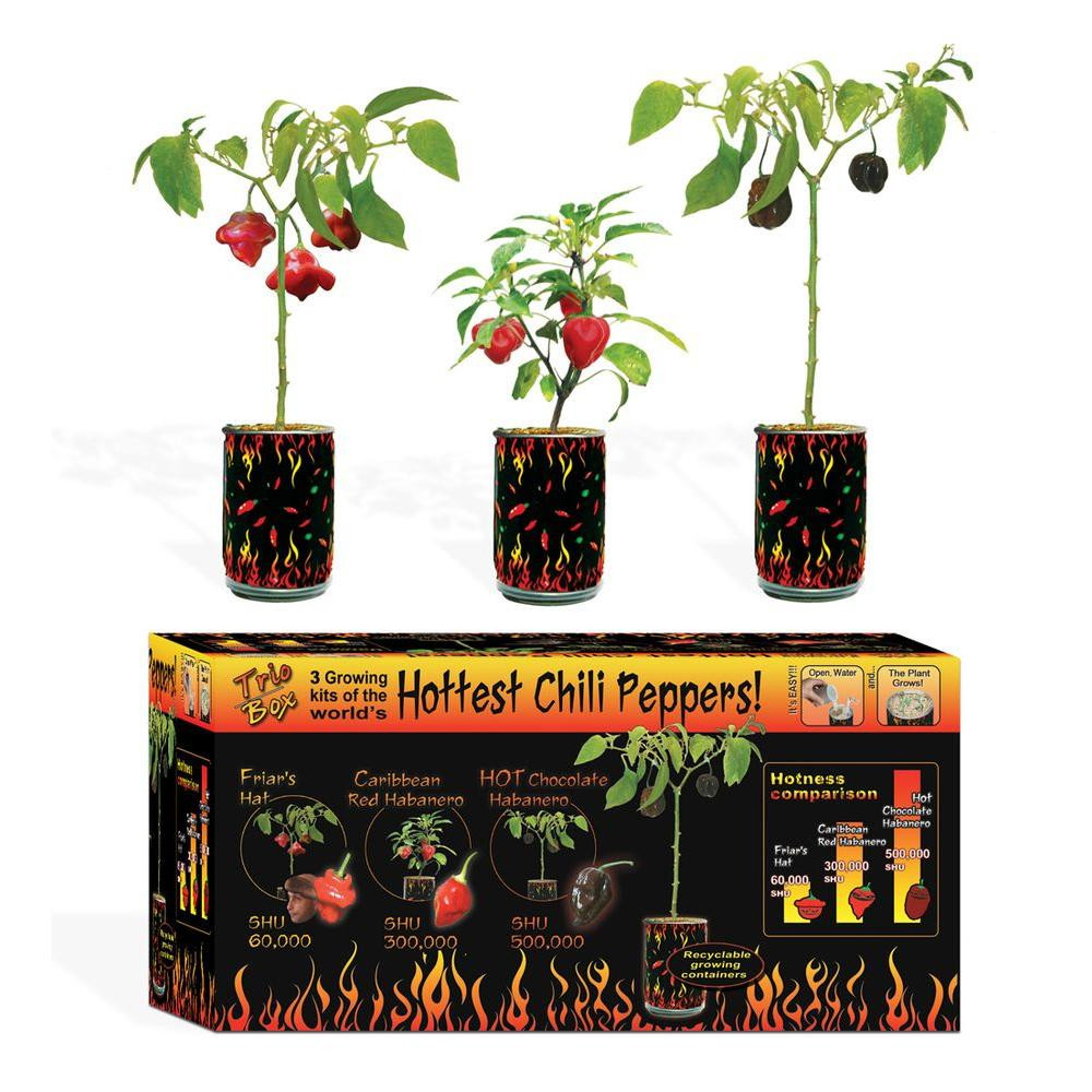 17 Trendy Home Depot Outdoor Vases 2024 free download home depot outdoor vases of vegetable plants edible garden the home depot throughout magic trio box pepper set 3