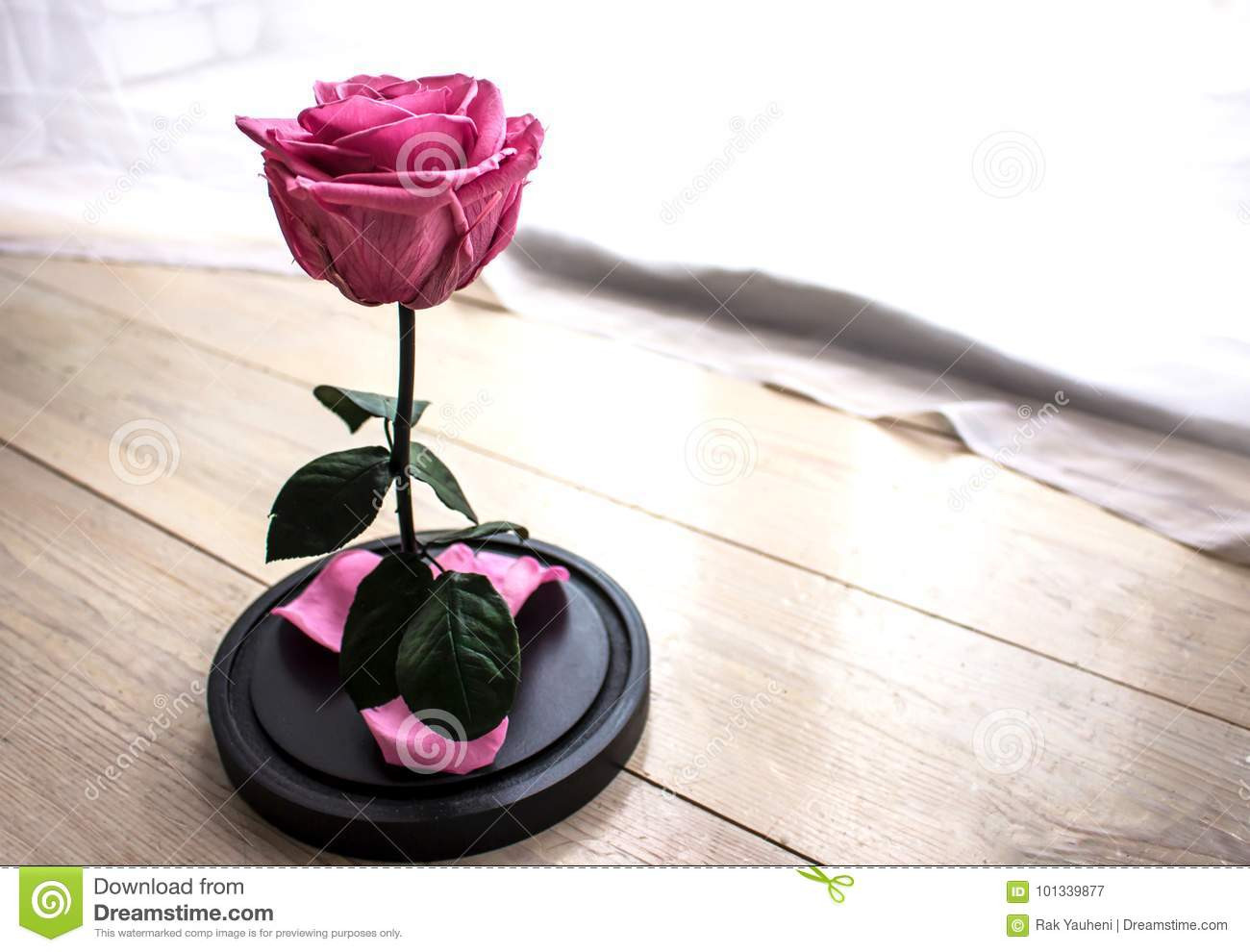 10 Stylish Hot Pink Flower Vases 2024 free download hot pink flower vases of eternal pink rose in a flask stock image image of happy bottle inside eternal pink rose in a flask