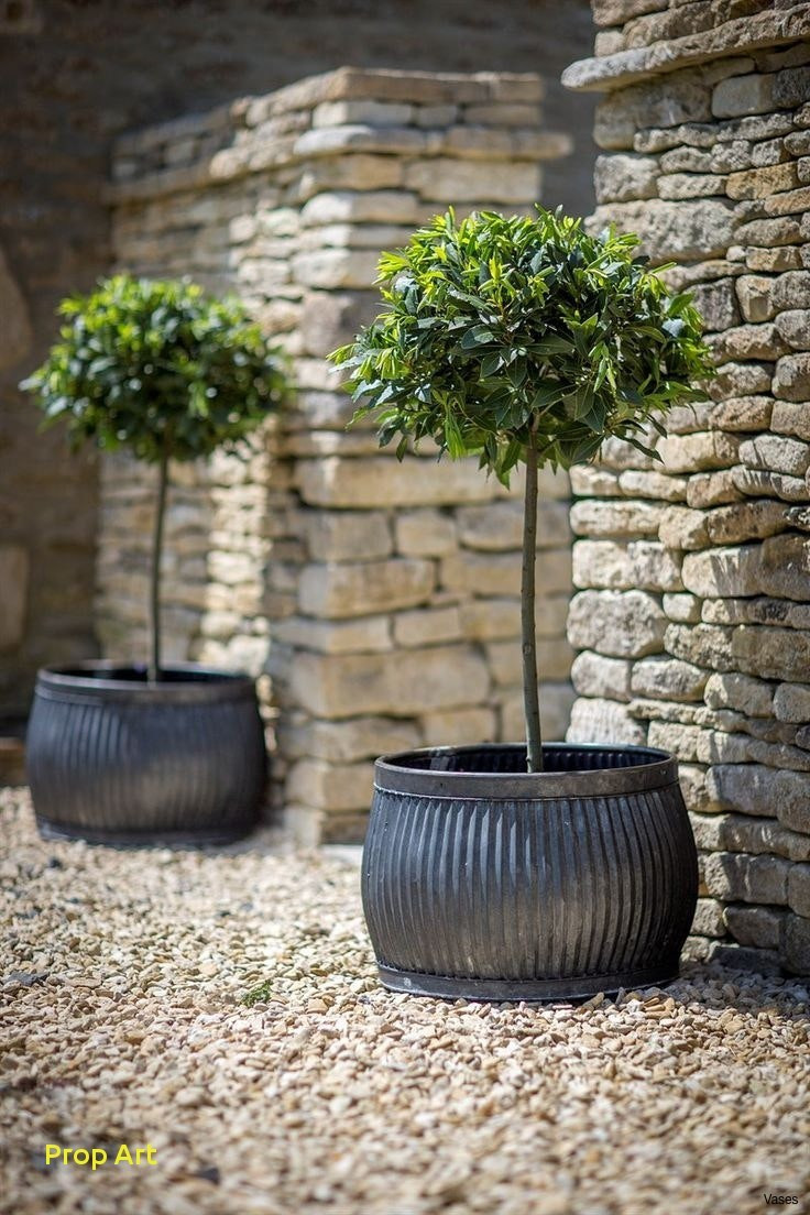 30 attractive House Plant Vase 2024 free download house plant vase of 10 luxury large outdoor flower pots prop art throughout patio flower pots awesome extra round outdoor planter pot xl5h vases i 0d flower floor