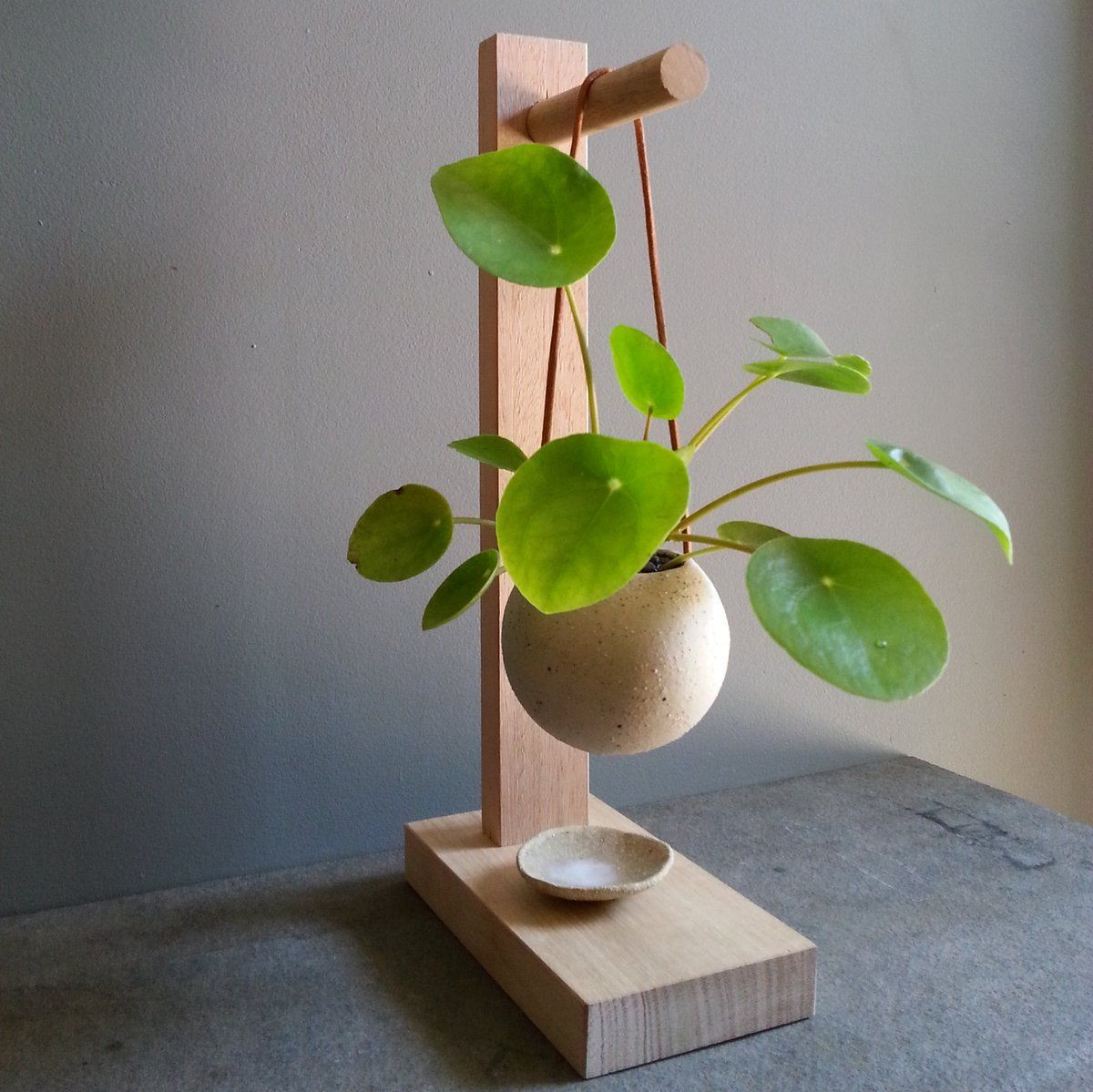 30 attractive House Plant Vase 2024 free download house plant vase of greenhaus projects design craft house plants pinterest pertaining to greenhaus projects design craft