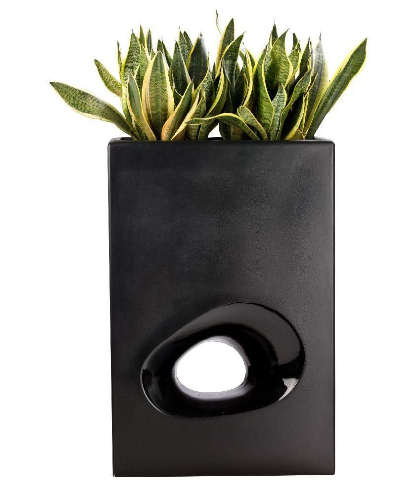 30 attractive House Plant Vase 2024 free download house plant vase of harshdeep roma frp pots buy harshdeep roma frp pots online at low regarding harshdeep roma frp pots