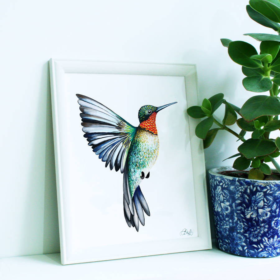 21 Wonderful Hummingbird Vase 2022 free download hummingbird vase of ruby hummingbird illustration print by charlotte duffy design within ruby hummingbird illustration print
