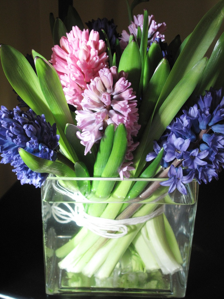 hyacinth forcing vase of debra prinzing a 2013 a march with regard to a simple length of linen twine gathers these garden hyacinths they practically arrange themselves