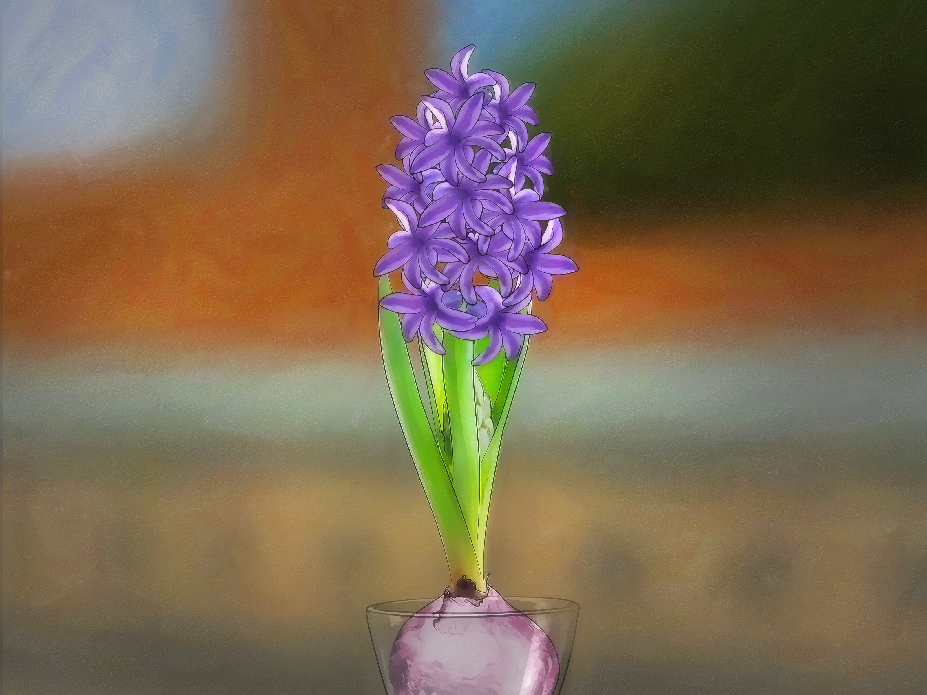 15 Amazing Hyacinth forcing Vase 2024 free download hyacinth forcing vase of how to grow a hyacinth bulb in water 9 steps with pictures throughout grow a hyacinth bulb in water step 9