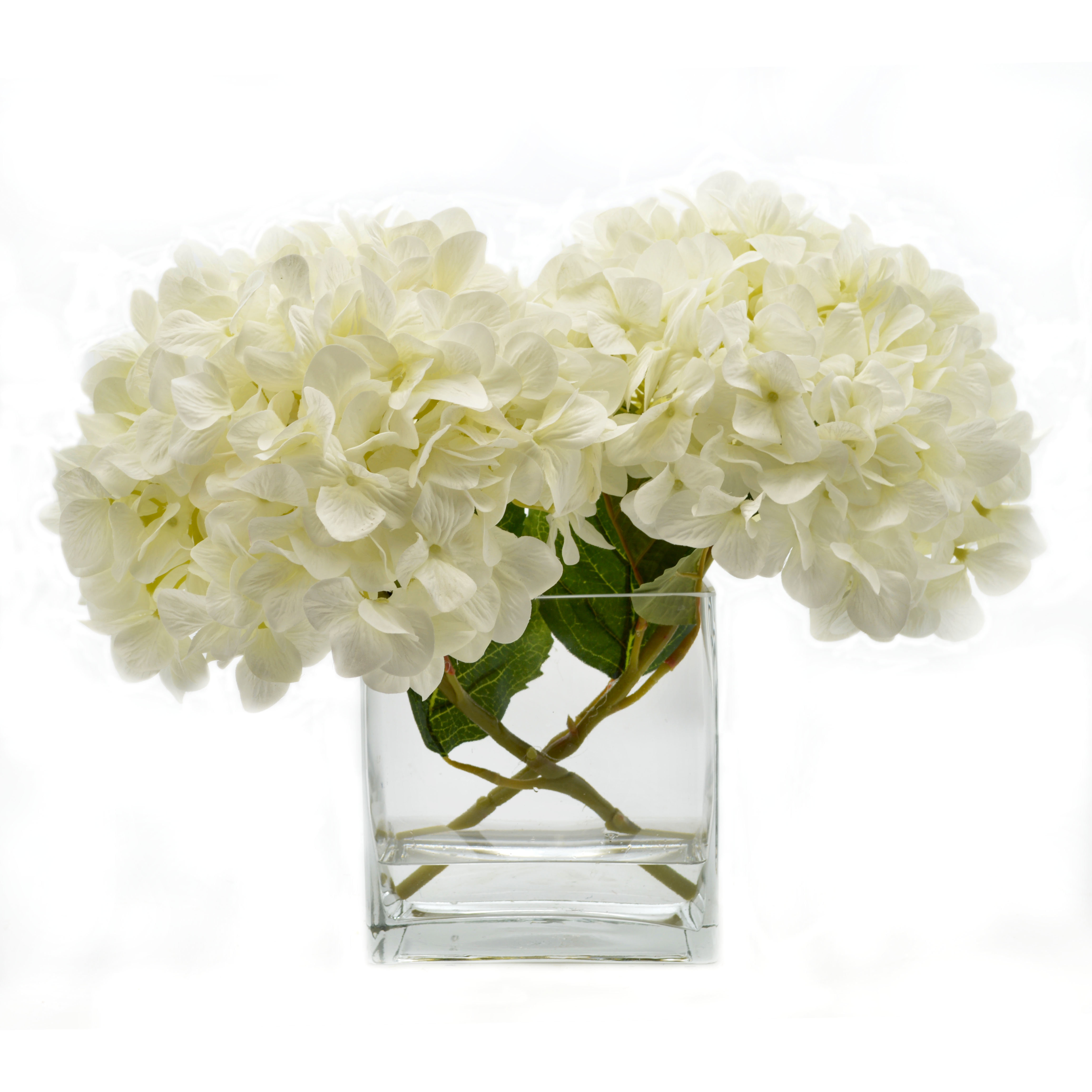 25 Cute Hydrangea In Glass Vase 2024 free download hydrangea in glass vase of faux hydrangea www topsimages com in birch lane faux white hydrangea in glass vase jpg 4590x4590 faux hydrangea
