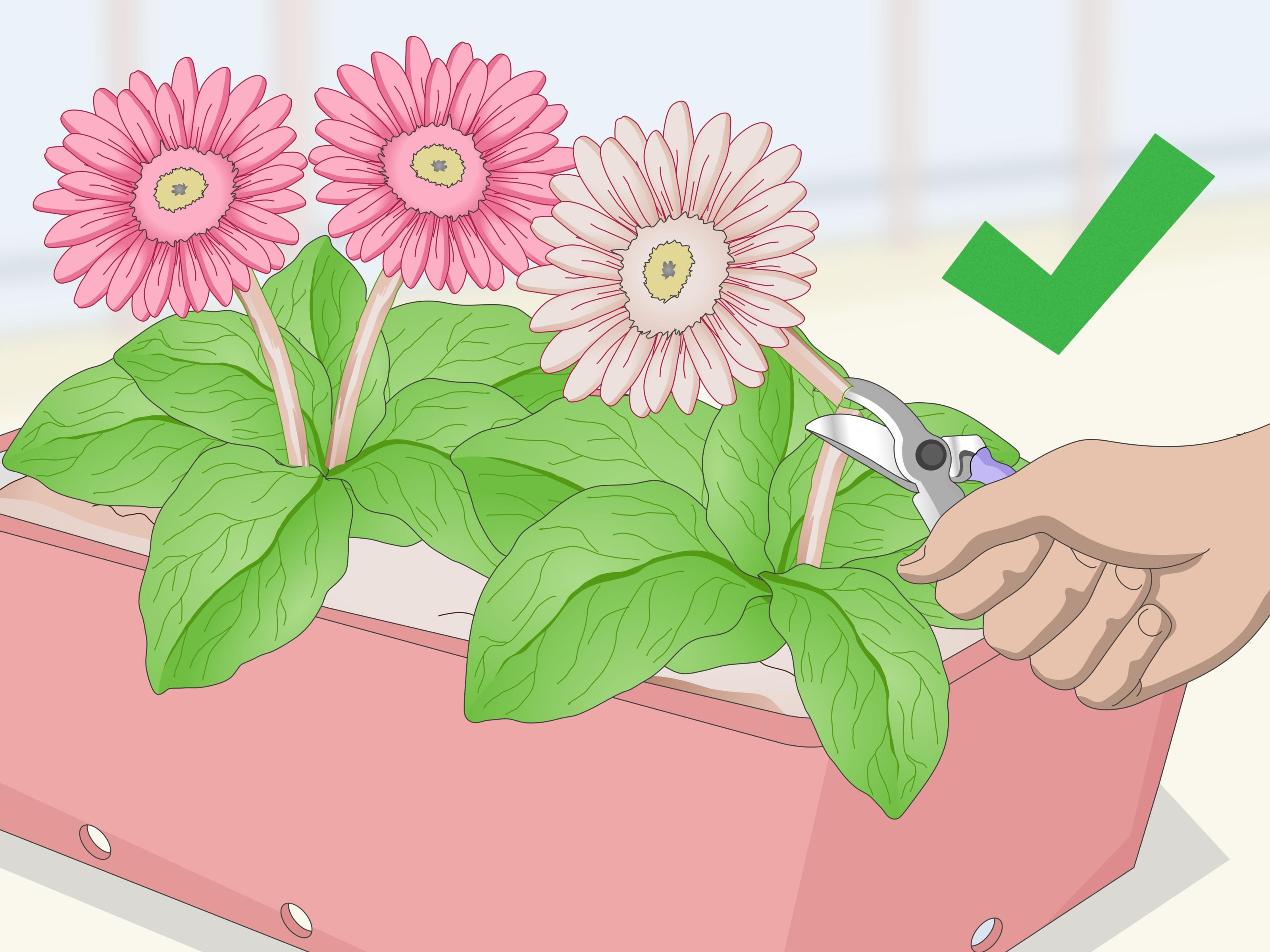 14 Fantastic Ice Cream Cone Flower Vase 2024 free download ice cream cone flower vase of 22 elegant flower vase meaning in tamil flower decoration ideas inside how to grow gerbera daisies with wikihow
