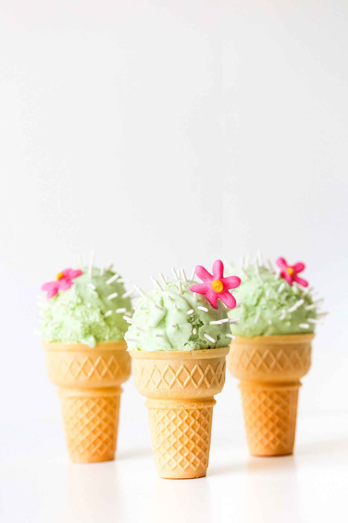 14 Fantastic Ice Cream Cone Flower Vase 2024 free download ice cream cone flower vase of the meaning and symbolism of the word acactusa for cactus