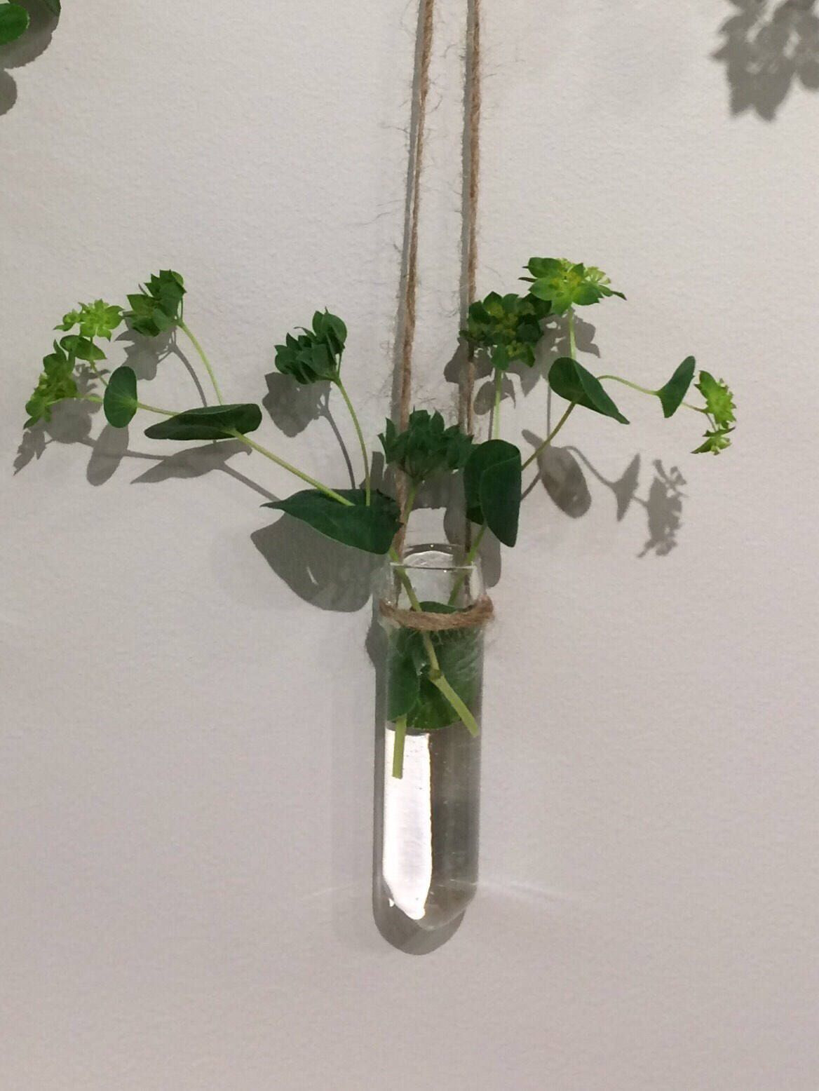 13 attractive Ideas to Fill A Vase 2024 free download ideas to fill a vase of hanging glass vase test tube vase hanging glass planter with regard to excited to share the latest addition to my etsy shop hanging vase single blown