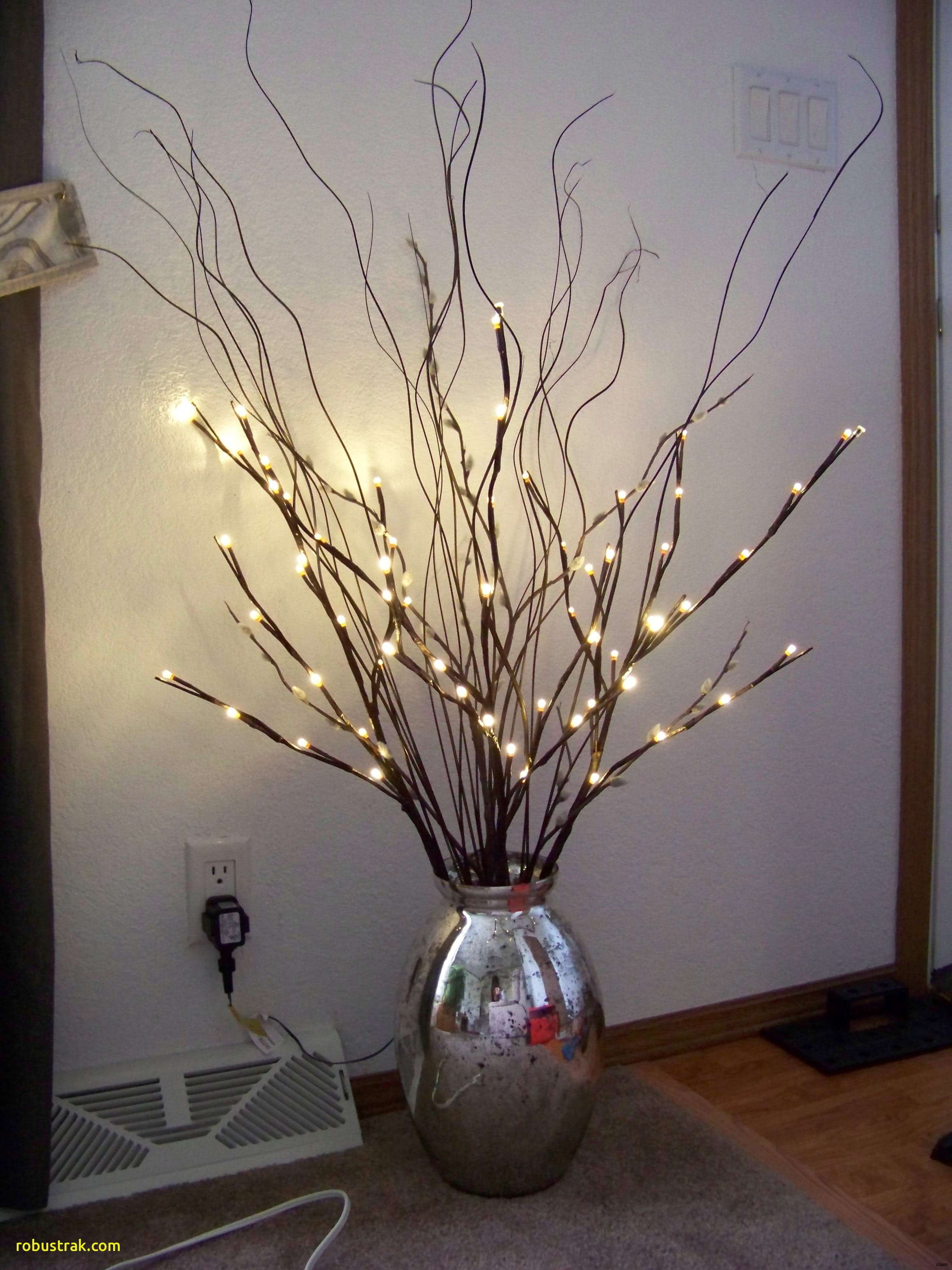13 attractive Ideas to Fill A Vase 2024 free download ideas to fill a vase of lovely decorating with vases and twigs home design ideas within vases vase with twigs and lights 60cm indoor battery flower timer festive ltd twig i 13d