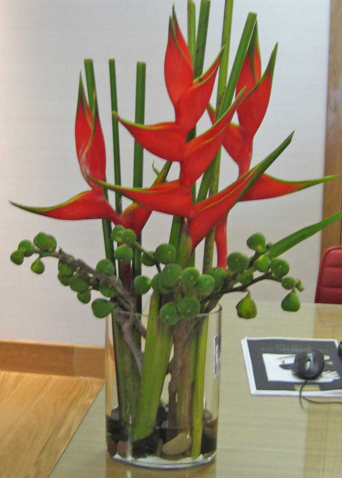 24 Awesome Ikebana Bamboo Vase 2024 free download ikebana bamboo vase of 77vr red heleconia bamboo daco mariage pinterest flower within 77vr red heleconia bamboo