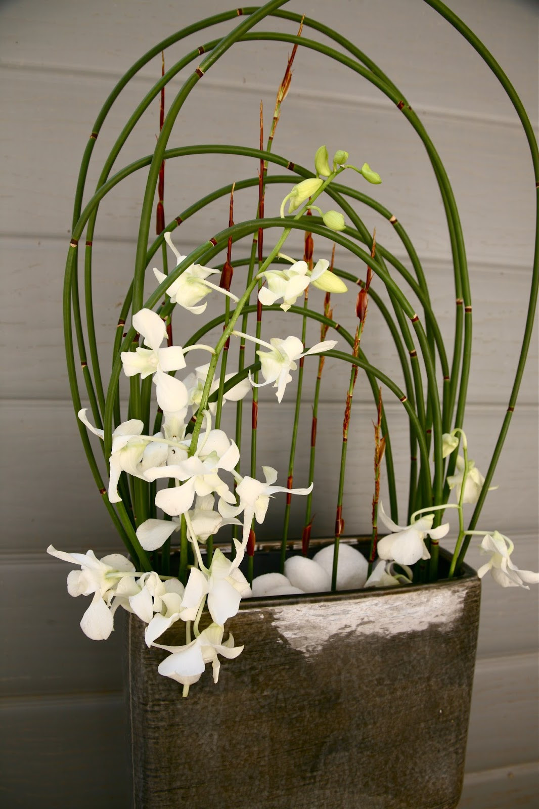 24 Awesome Ikebana Bamboo Vase 2024 free download ikebana bamboo vase of art drenaline bamboo flowers shop inside you need original ideas for your presents do not wait and let yourself be charmed by this magical place bamboo