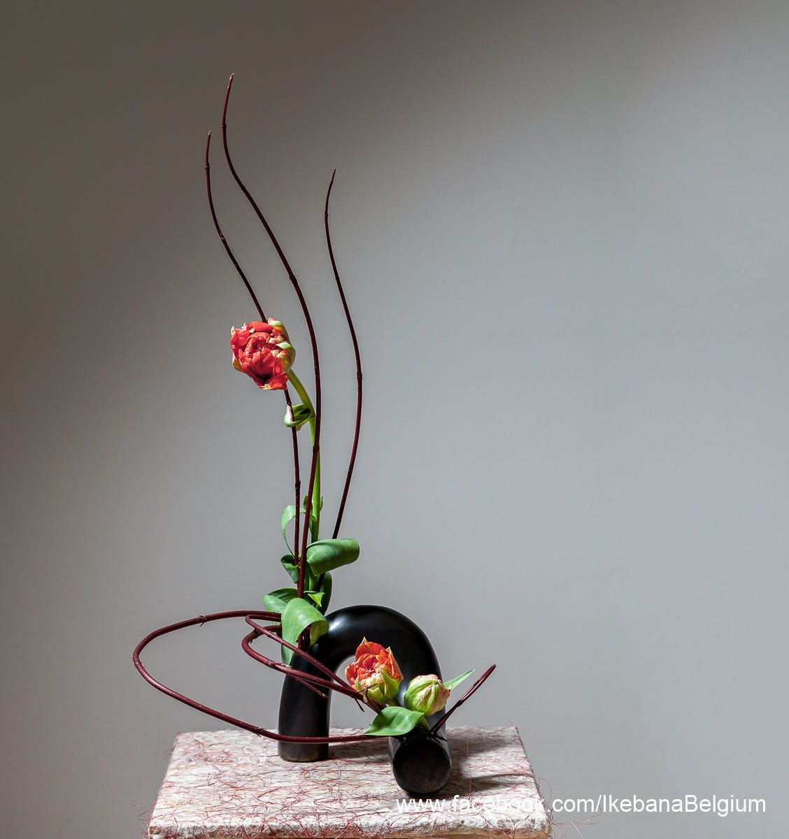 24 Awesome Ikebana Bamboo Vase 2024 free download ikebana bamboo vase of curves by ben huybrechts on 500px flowers arrangements pinterest for curves