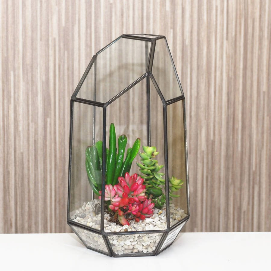 26 Awesome Ikebana Flower Vase 2024 free download ikebana flower vase of geometric glass vase terrarium by dingading terrariums in geometric glass vase terrarium