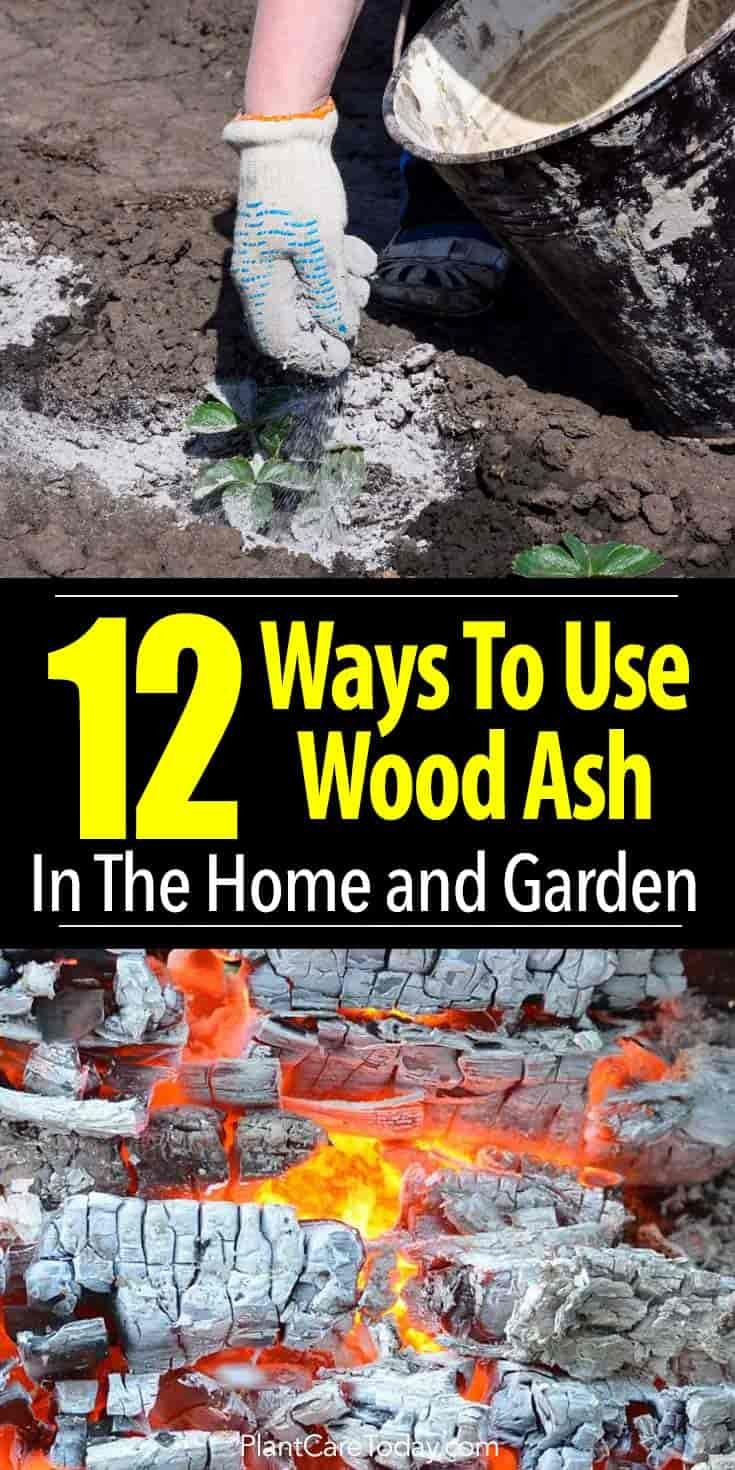 25 Nice In Ground Metalcraft Cemetery Vases 2024 free download in ground metalcraft cemetery vases of 1193 best gardening images on pinterest garden ideas gardening within 12 uses for wood ash in the garden and the home help balance soil ph