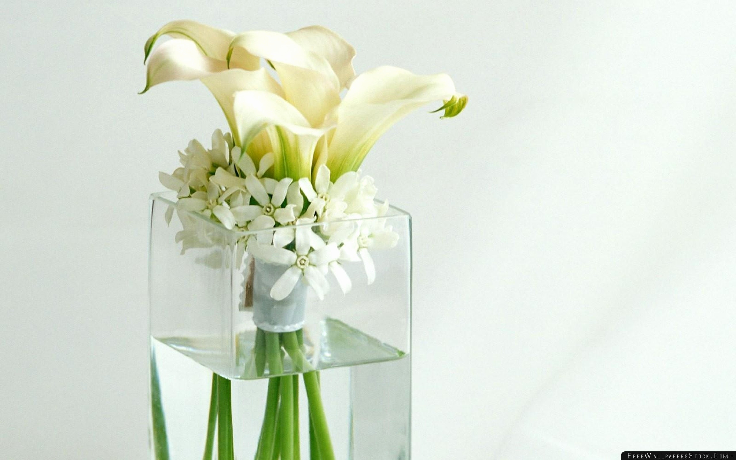 28 Stunning Inexpensive Clear Glass Vases 2024 free download inexpensive clear glass vases of glass vase centerpieces for wedding beautiful wedding wedding pertaining to 0d design glass vase centerpieces for wedding elegant best tall flower vases for 