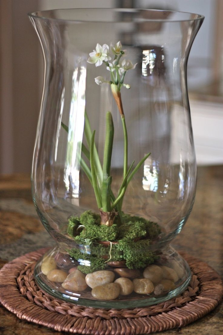 17 Stunning isle Of Wight Glass Vase 2024 free download isle of wight glass vase of collection of extra large glass vase vases artificial plants throughout extra large glass vase image 45 adorable spring terrariums for home dacor digsdigs of coll